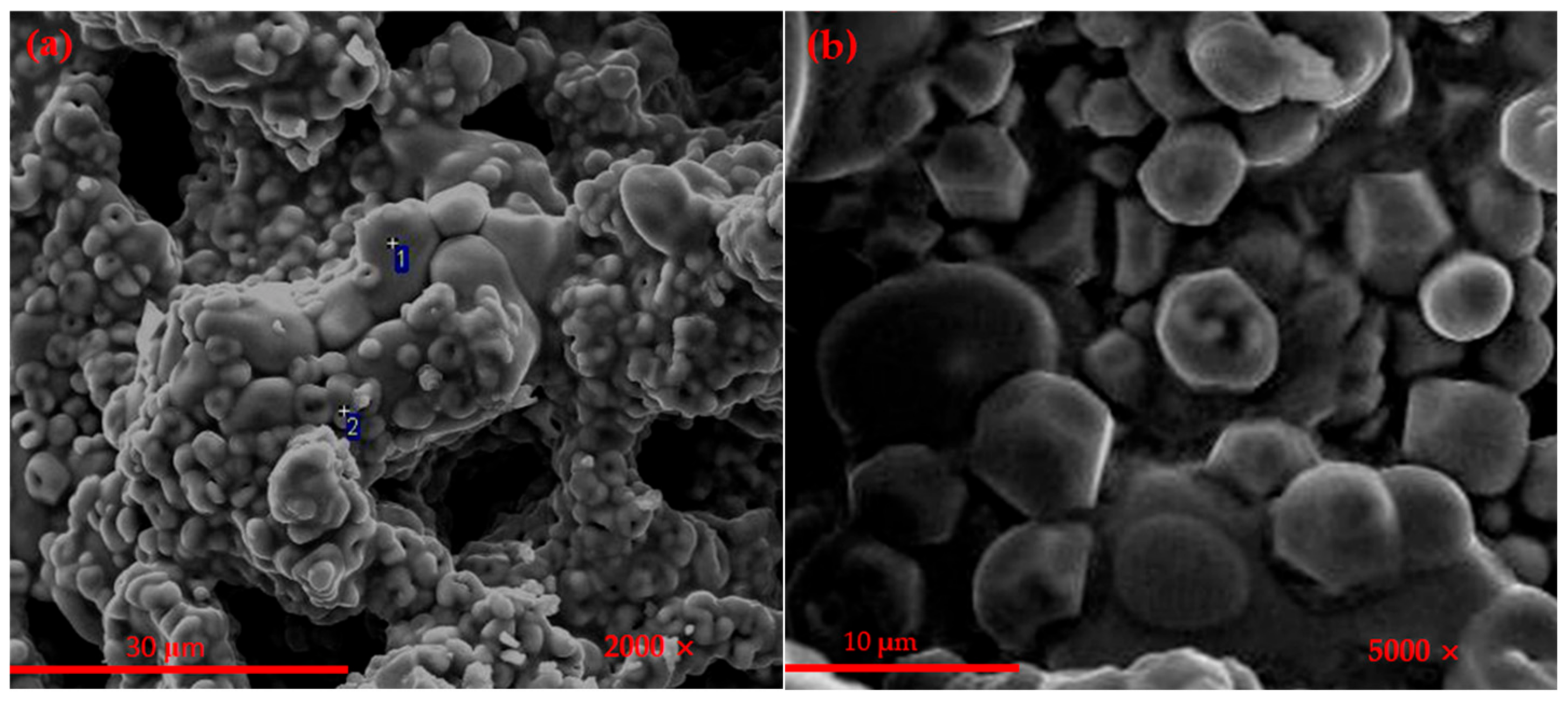 Materials 14 05813 g003a Materials 14 05813 g003a