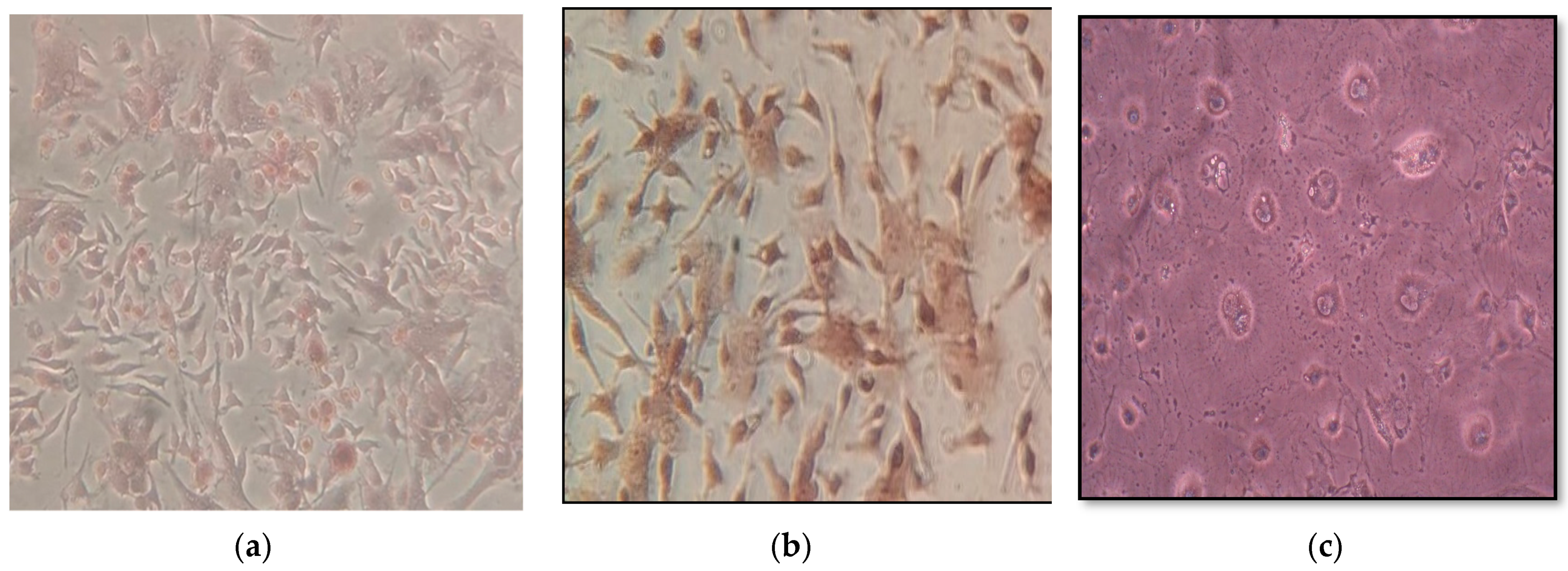 Materials 14 05823 g006