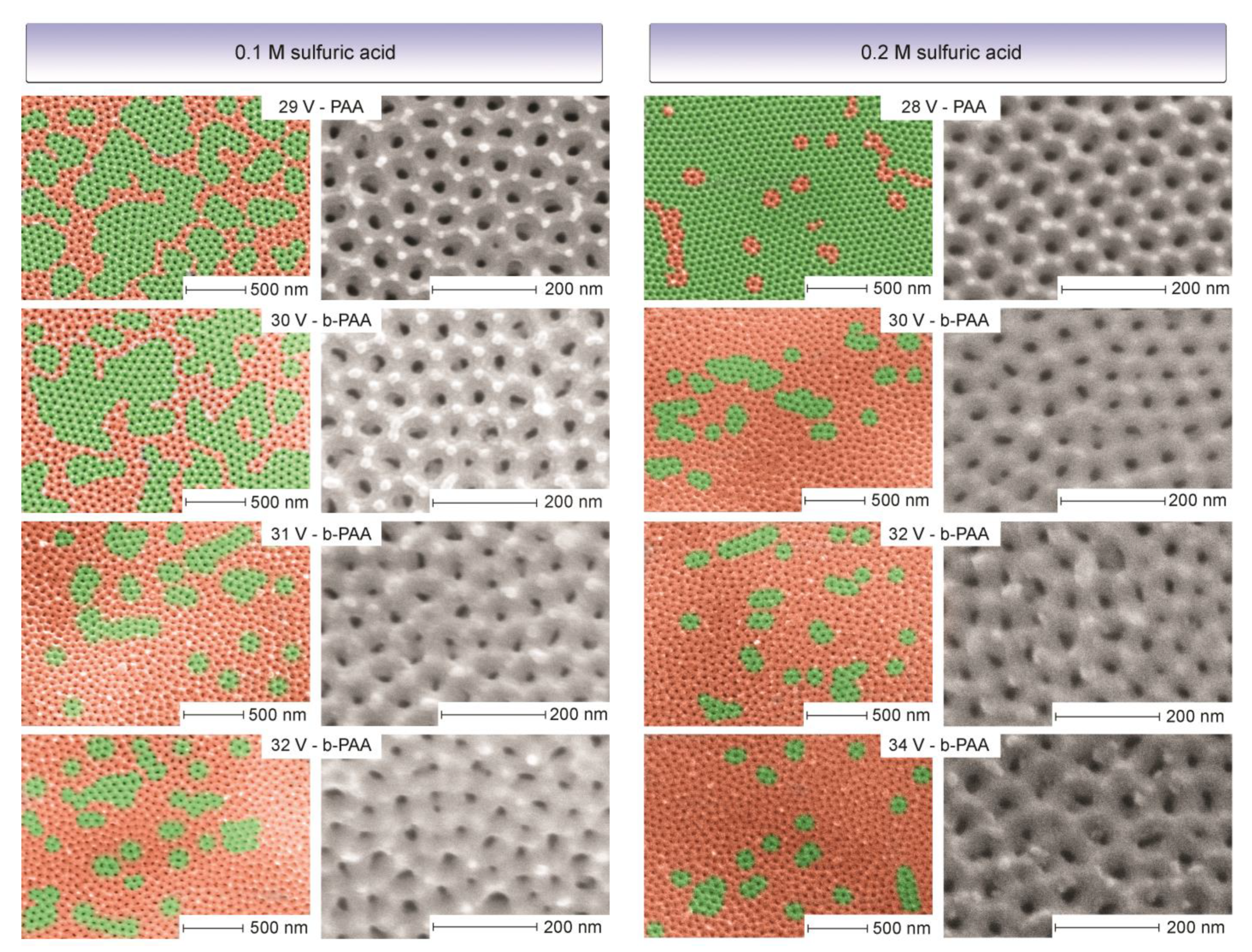 Materials 14 05827 g002
