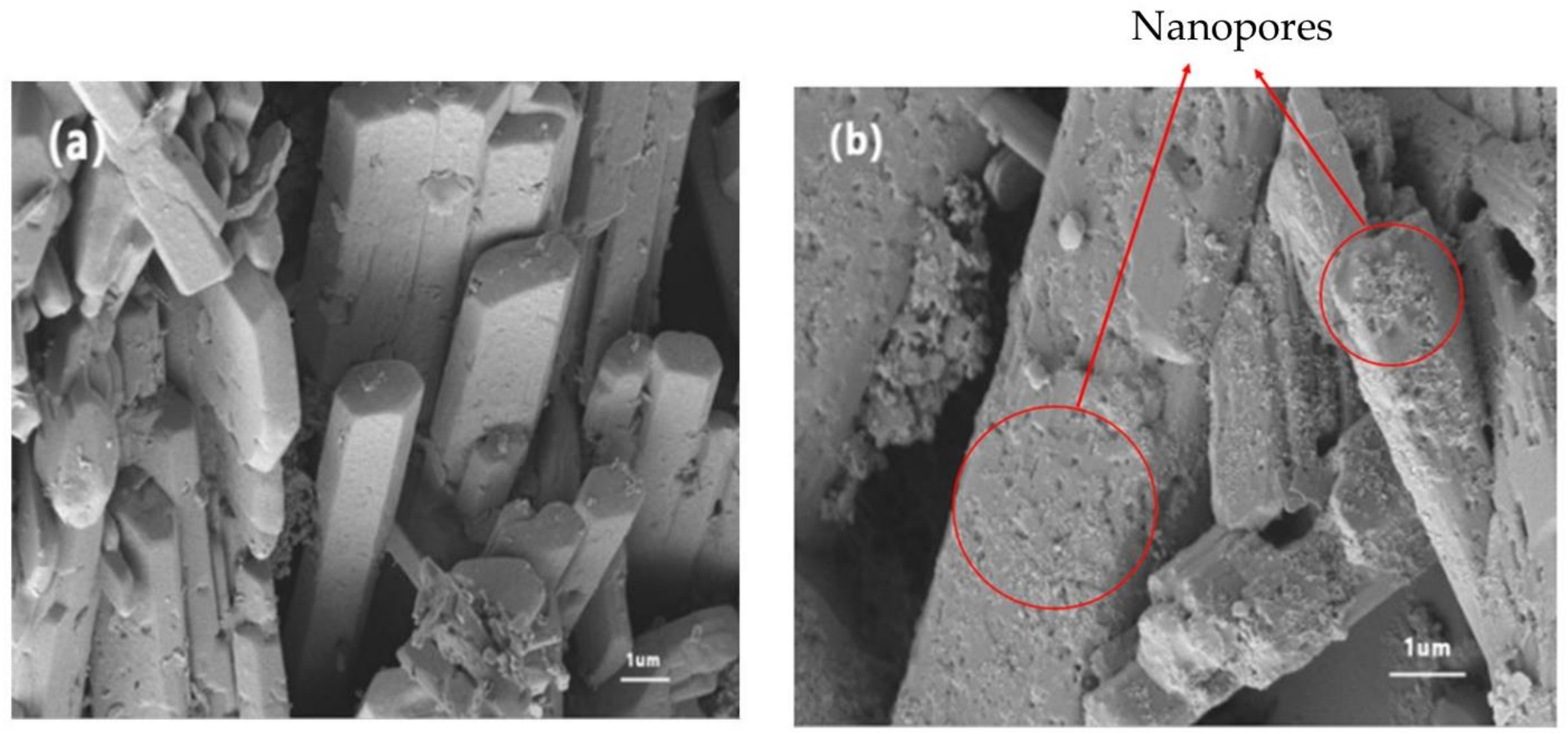 Materials 14 05830 g006