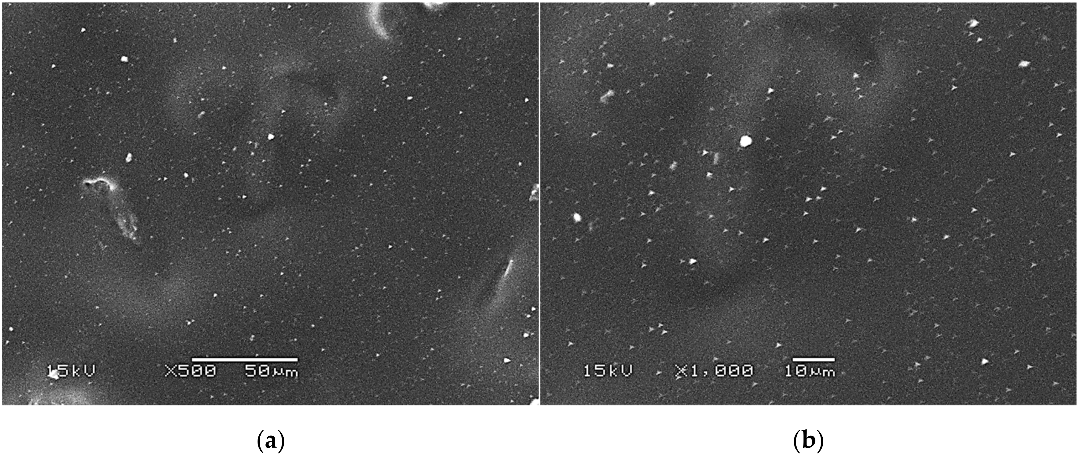 Materials 14 05832 g007