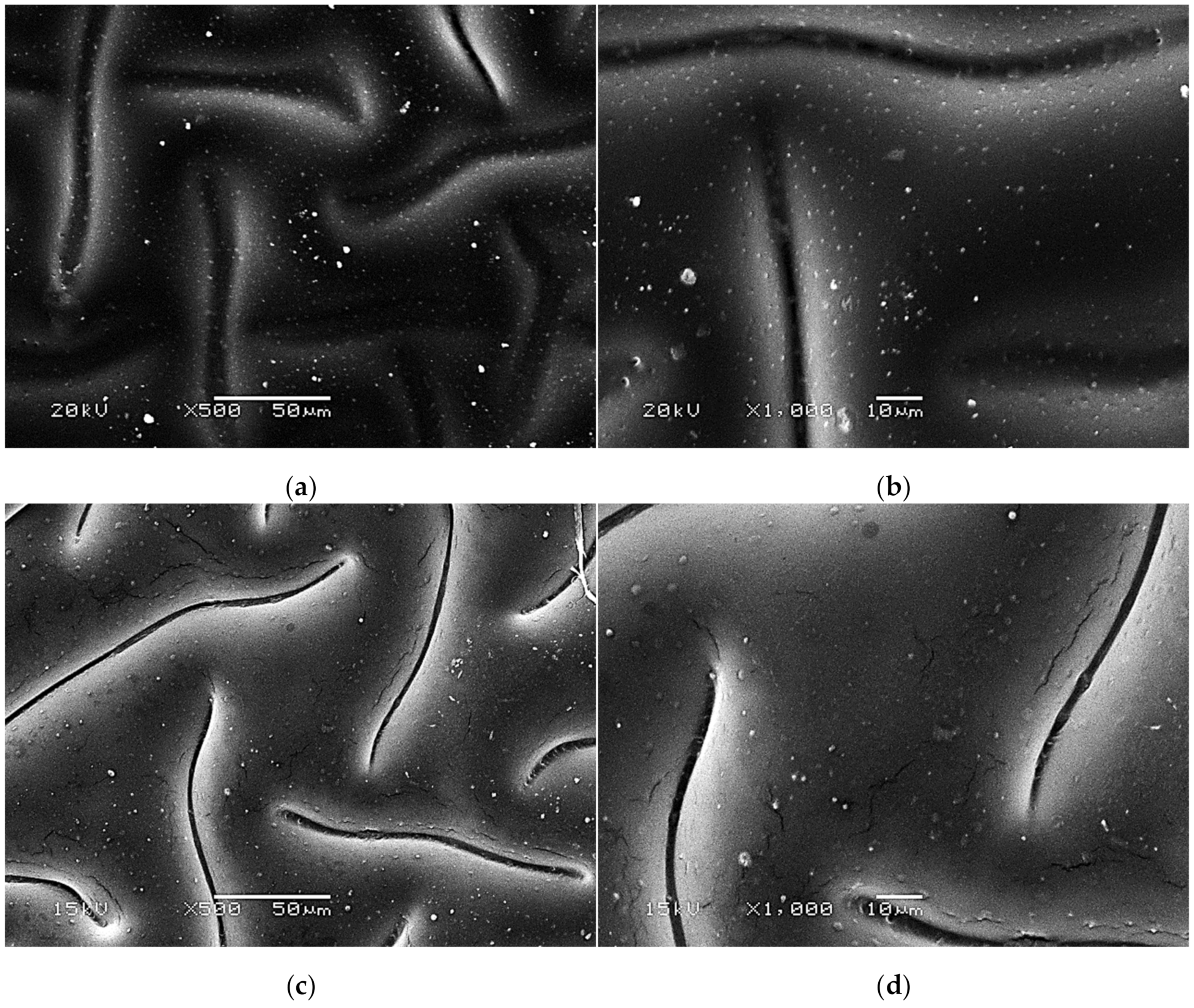 Materials 14 05832 g008