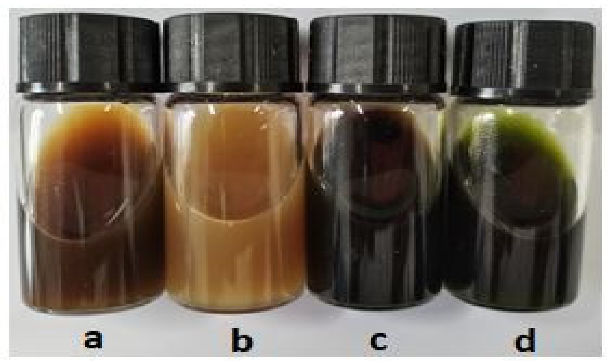 Materials 14 05850 g002 550