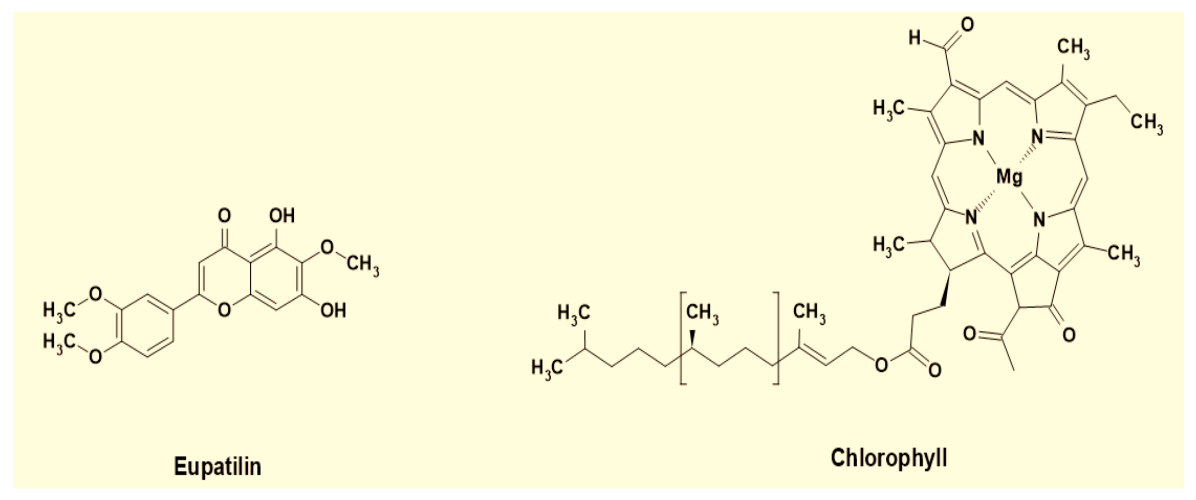 Materials 14 05850 g007 550