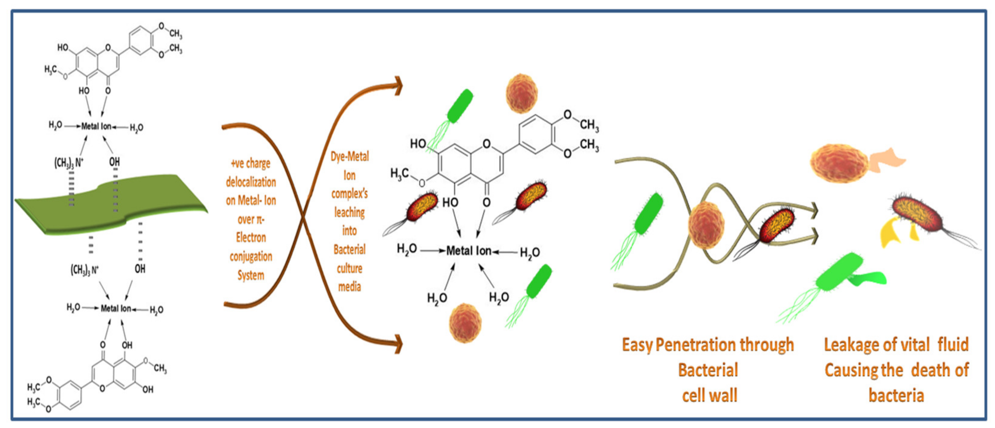Materials 14 05850 g011 550