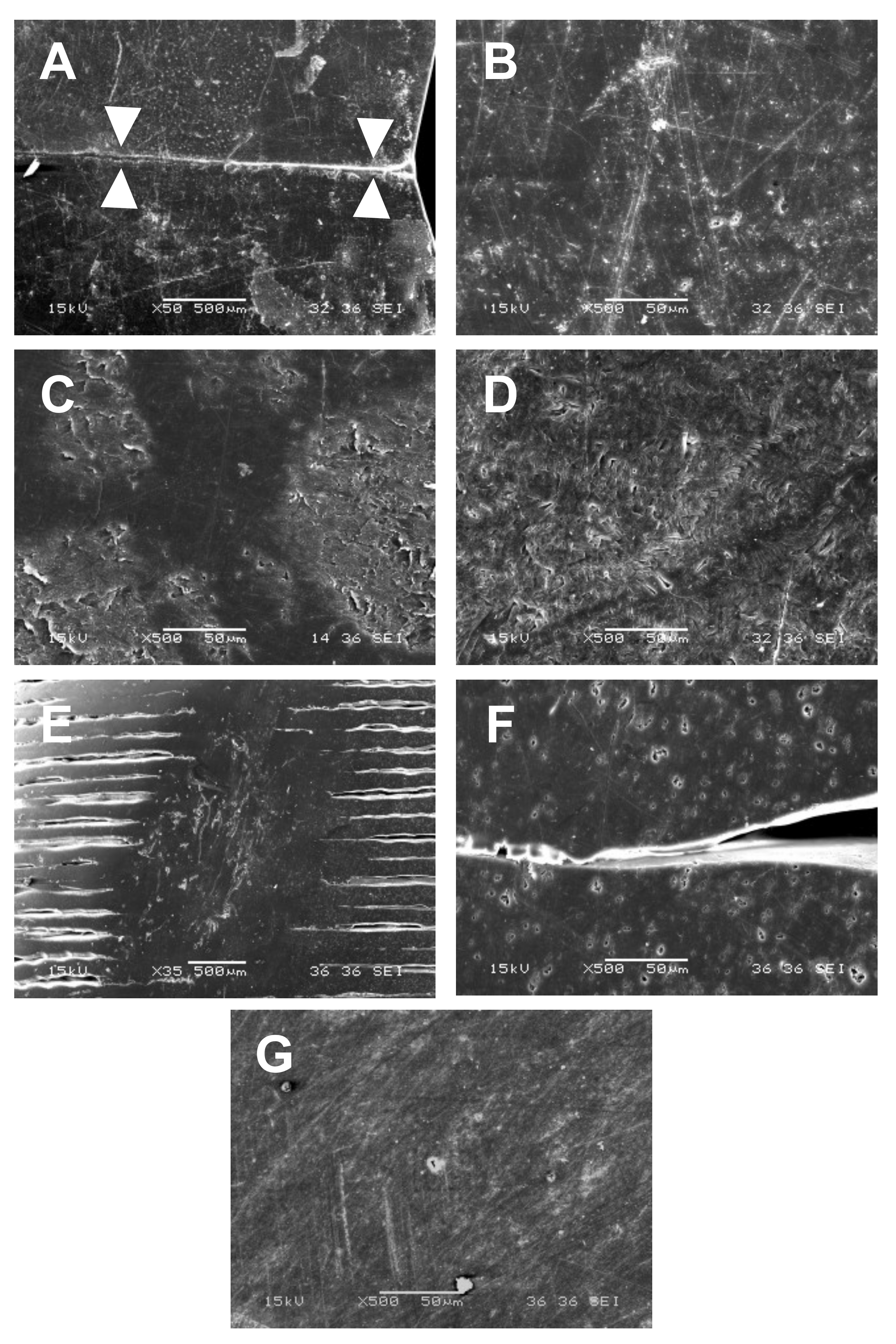 Materials 14 05868 g006
