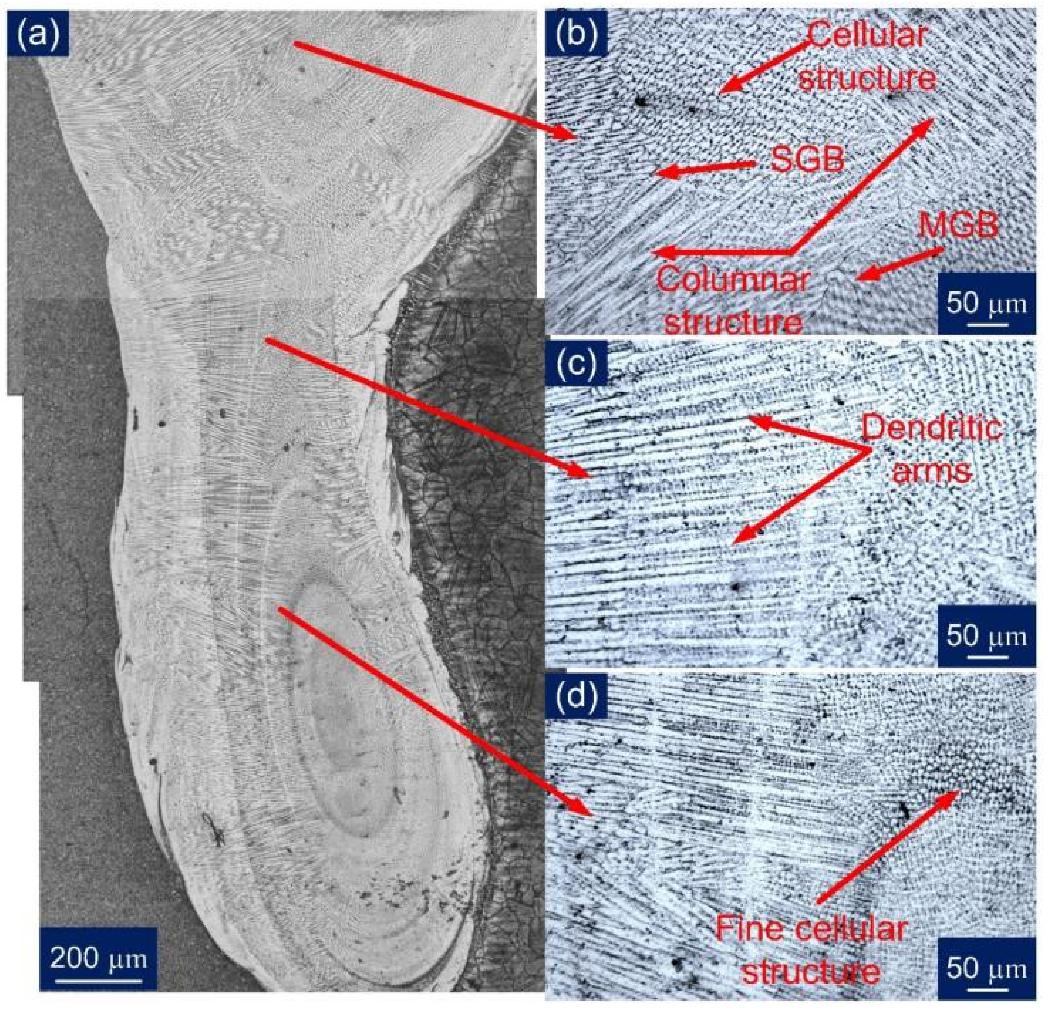 Materials 14 05876 g009