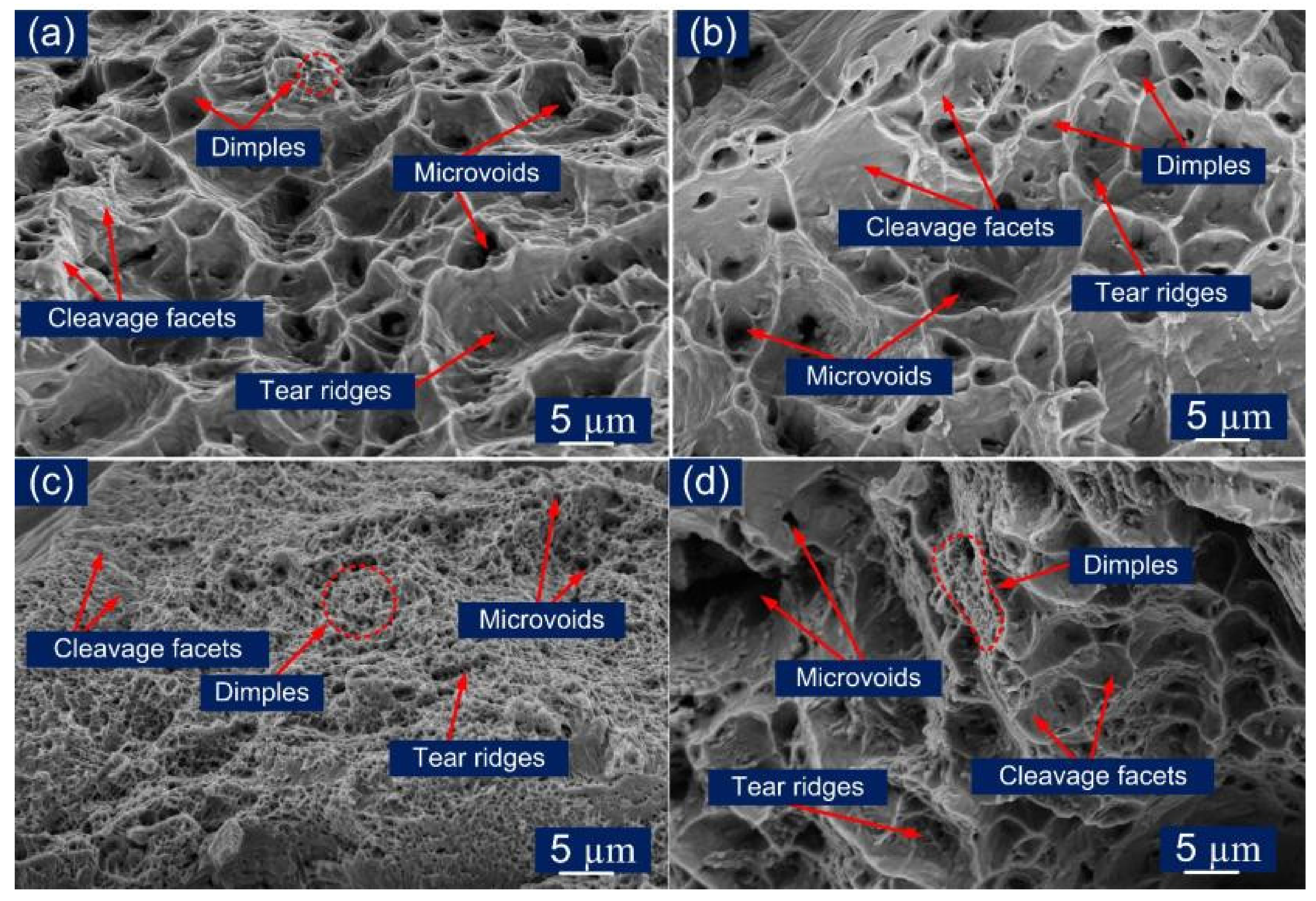 Materials 14 05876 g015