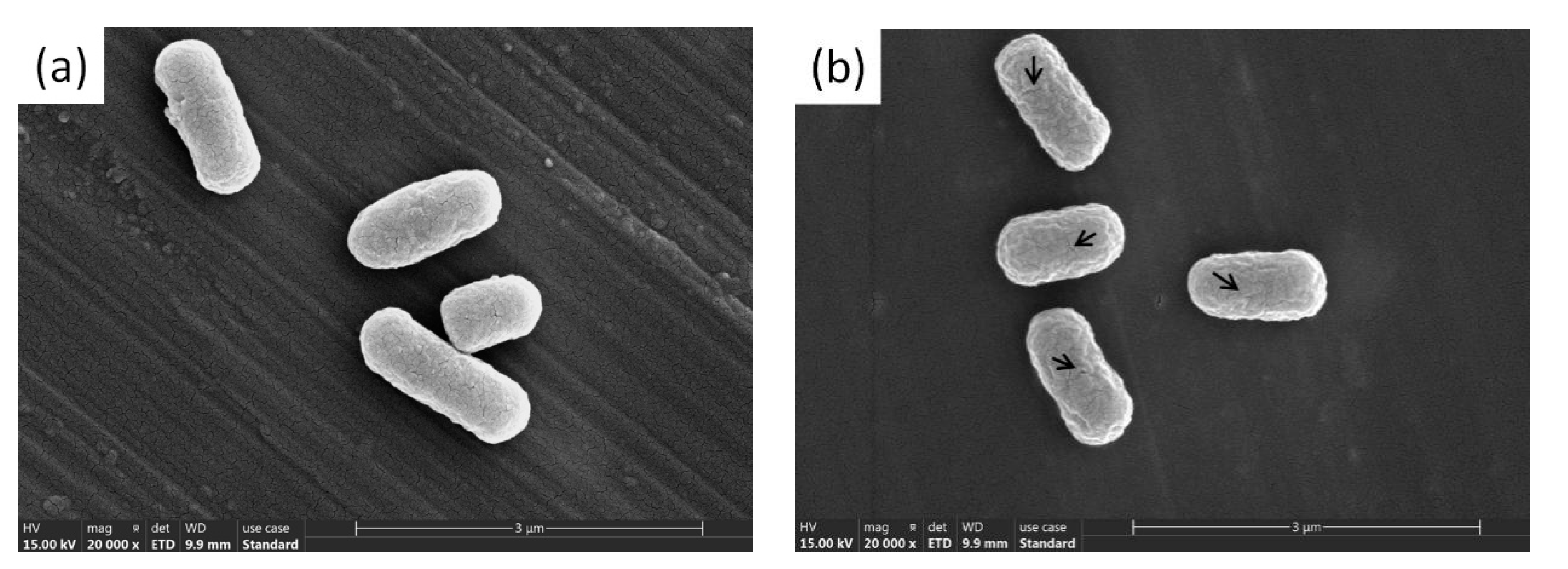 Materials 14 05878 g005a