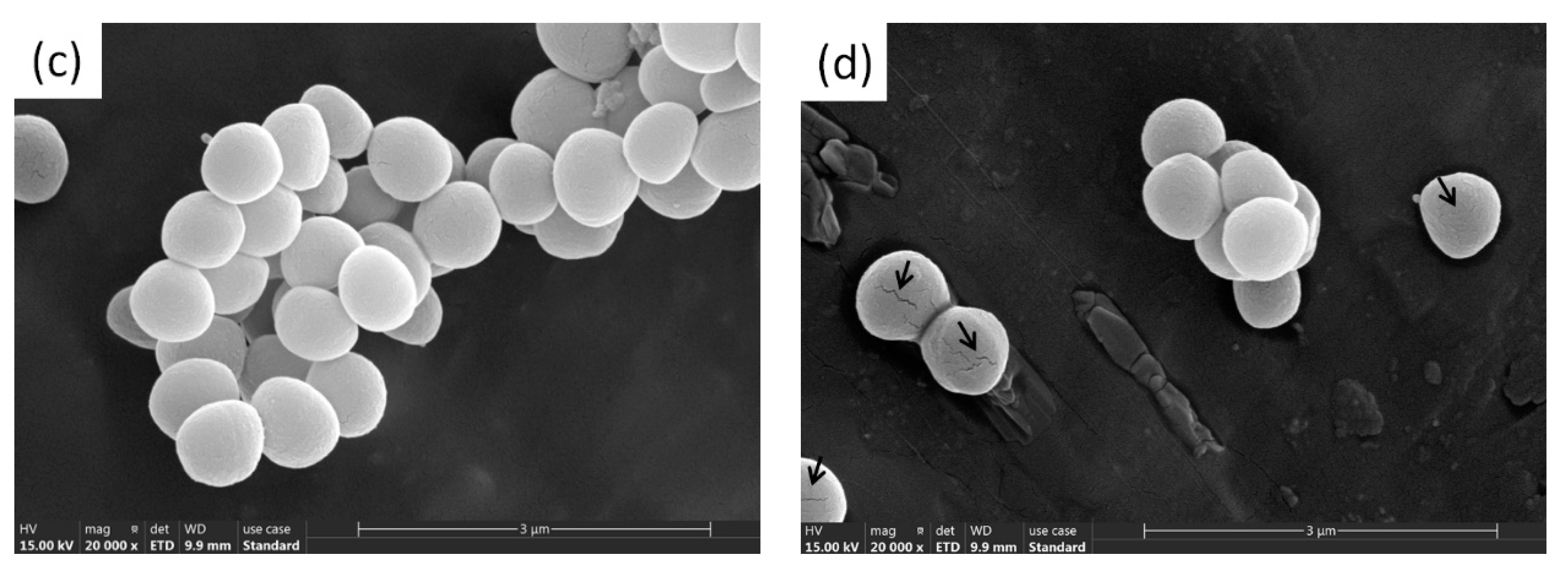 Materials 14 05878 g005b