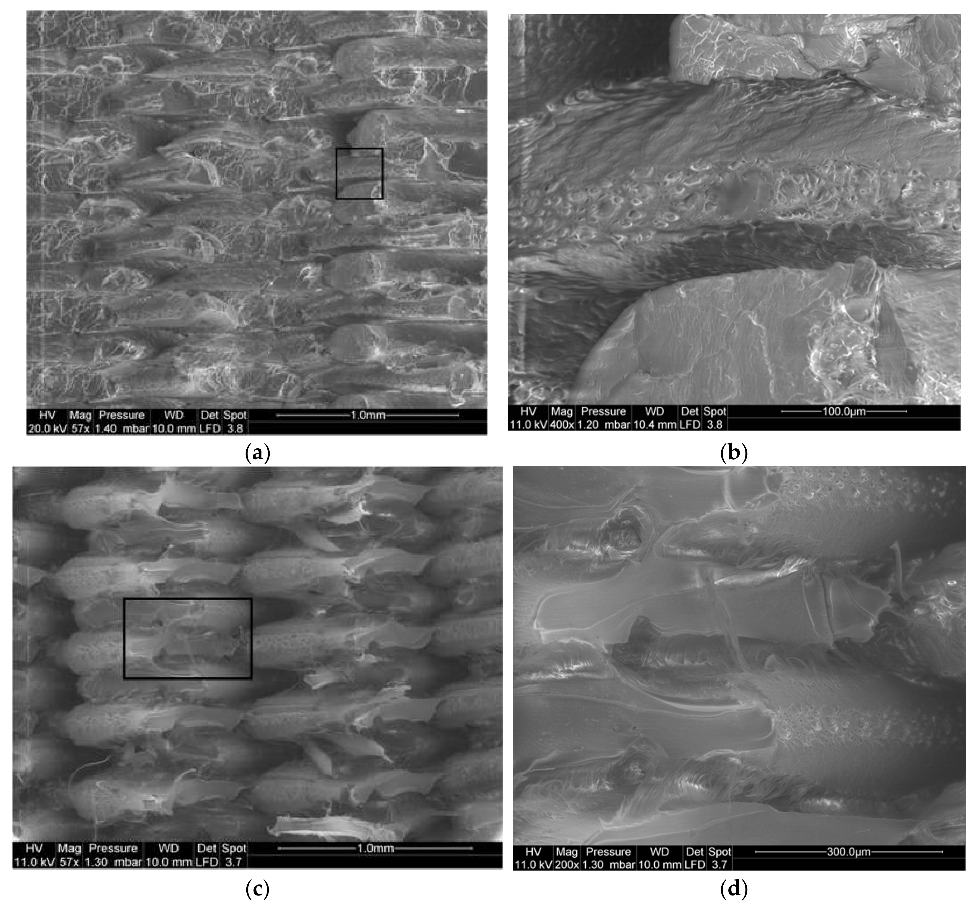 Materials 14 05883 g007 550