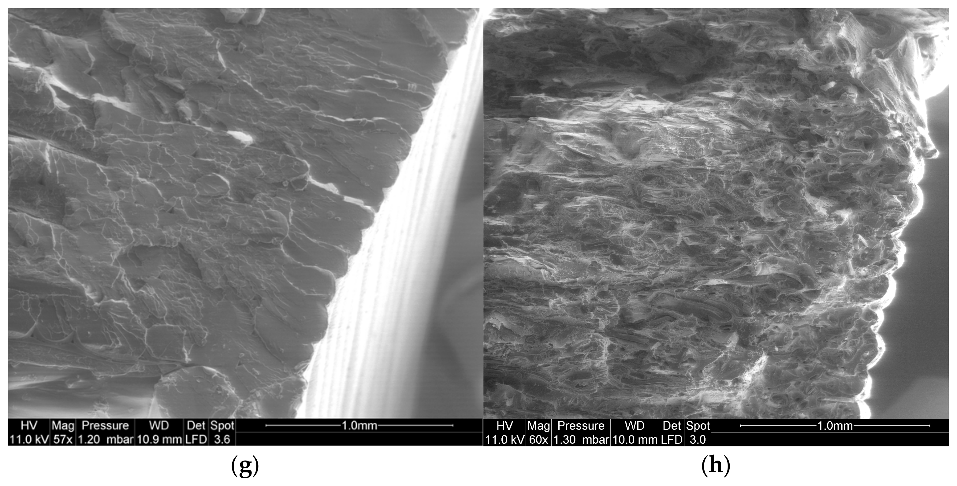 Materials 14 05883 g009b 550