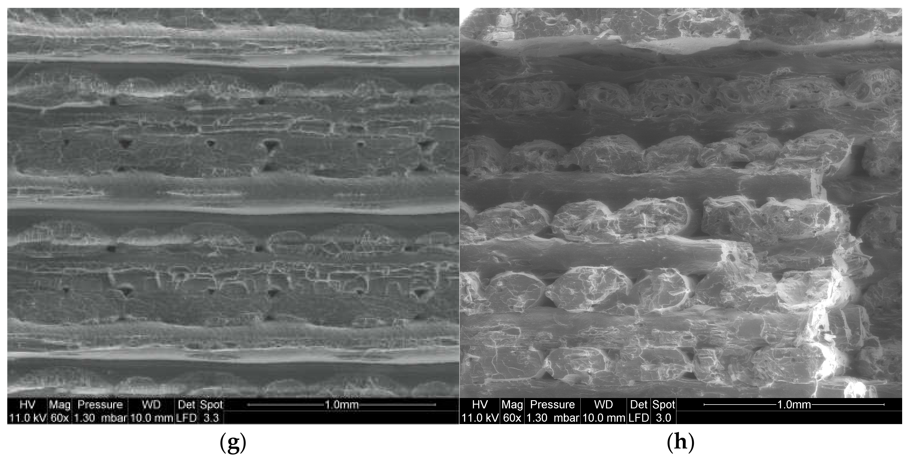 Materials 14 05883 g010b 550