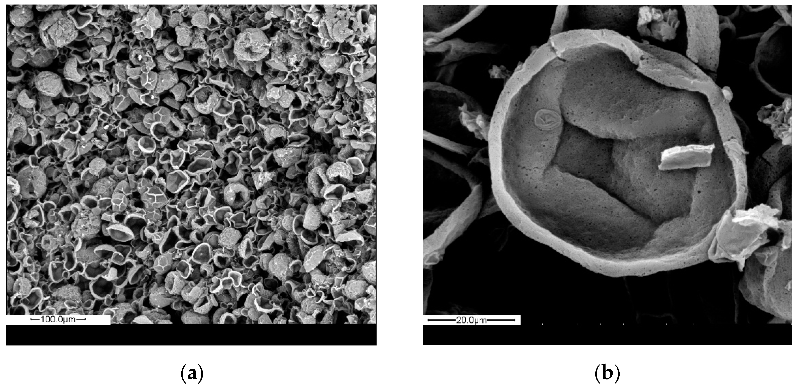 Materials 14 05895 g006