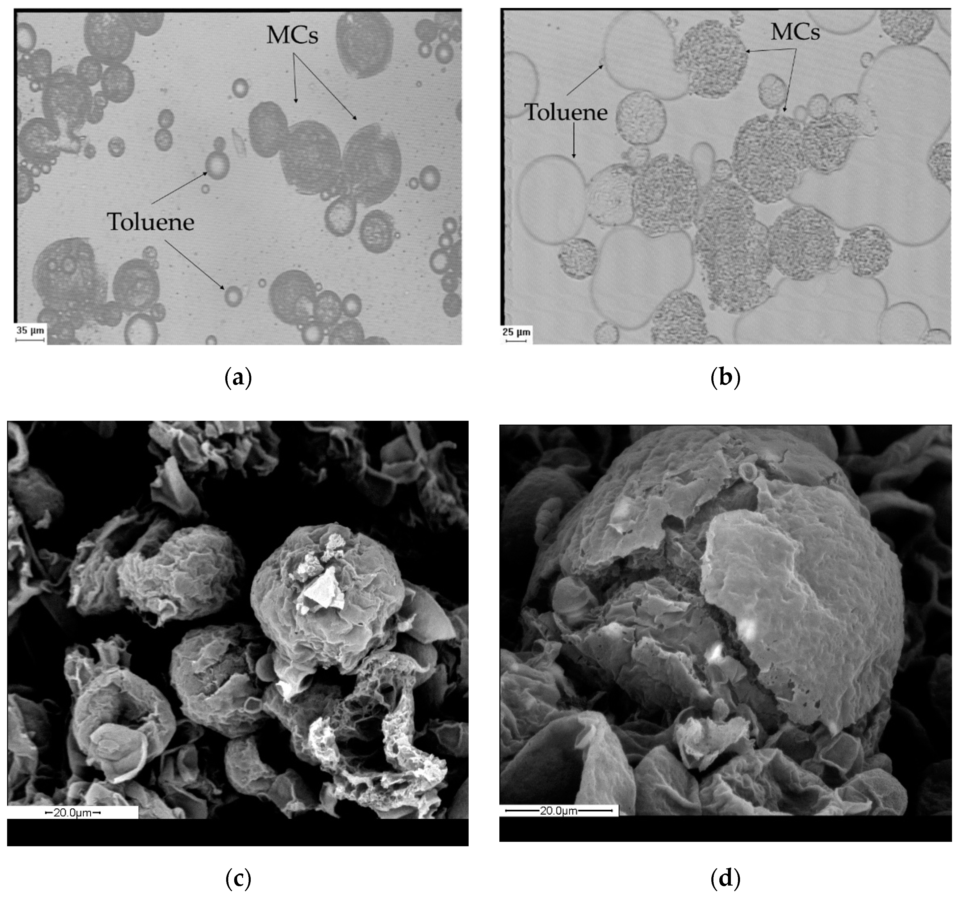 Materials 14 05895 g010