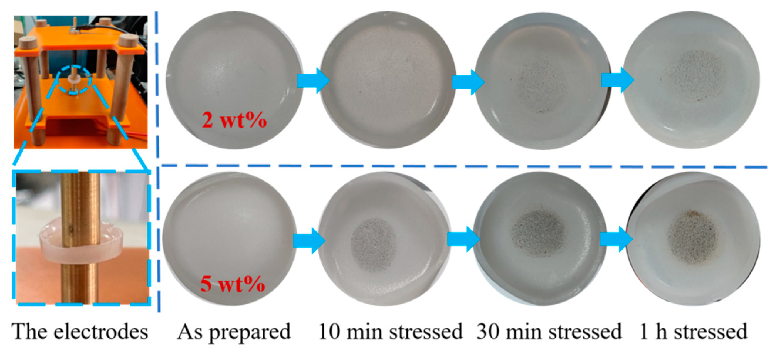 Materials 14 05901 g007 550