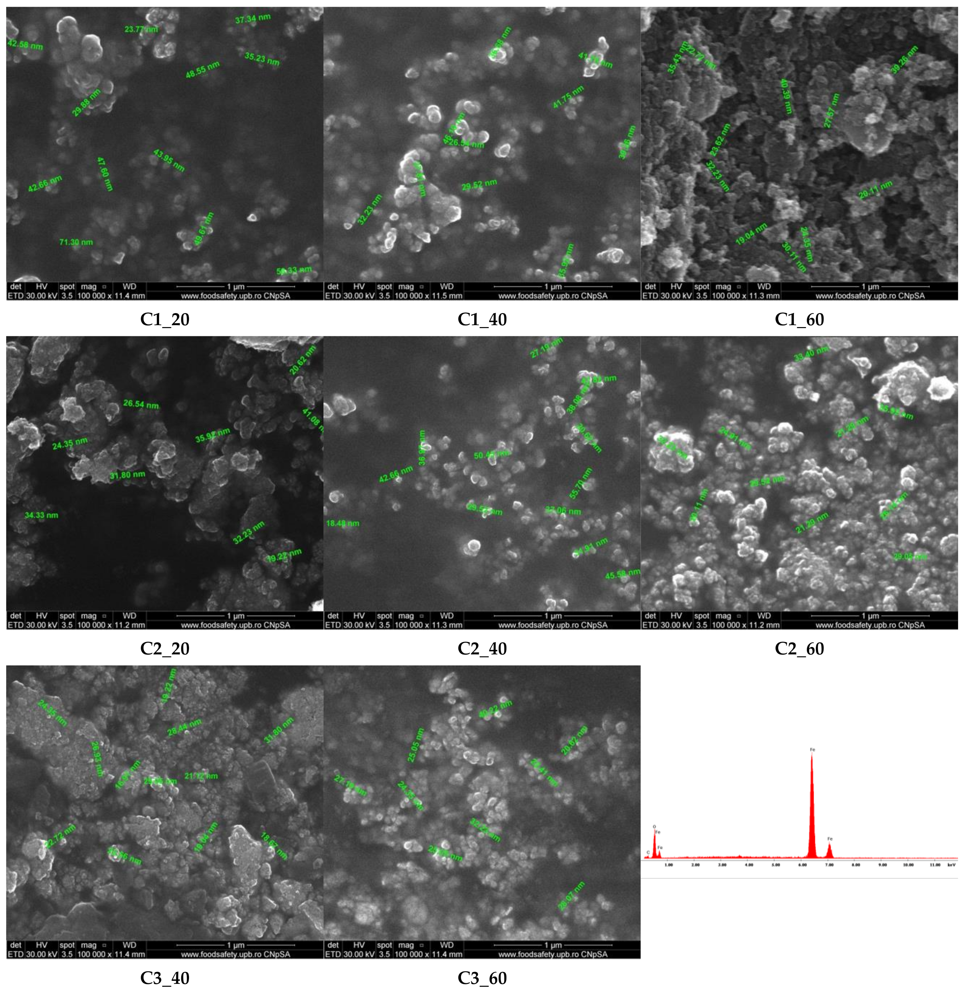Materials 14 05906 g007 Materials 14 05906 g007