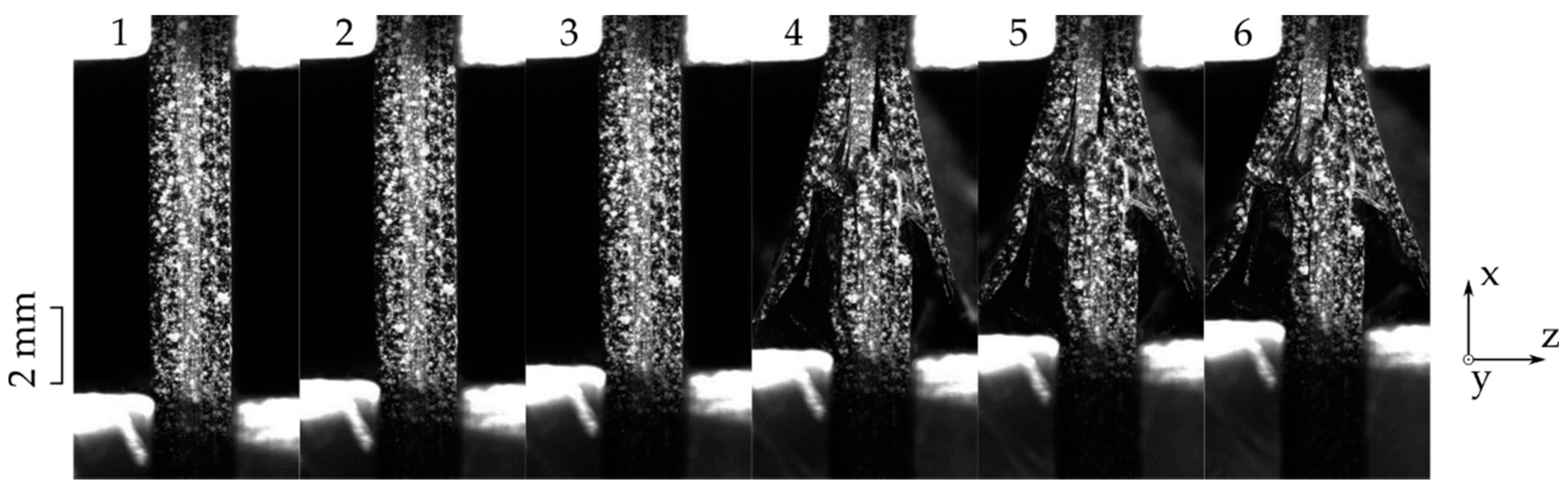 Materials 14 05931 g003