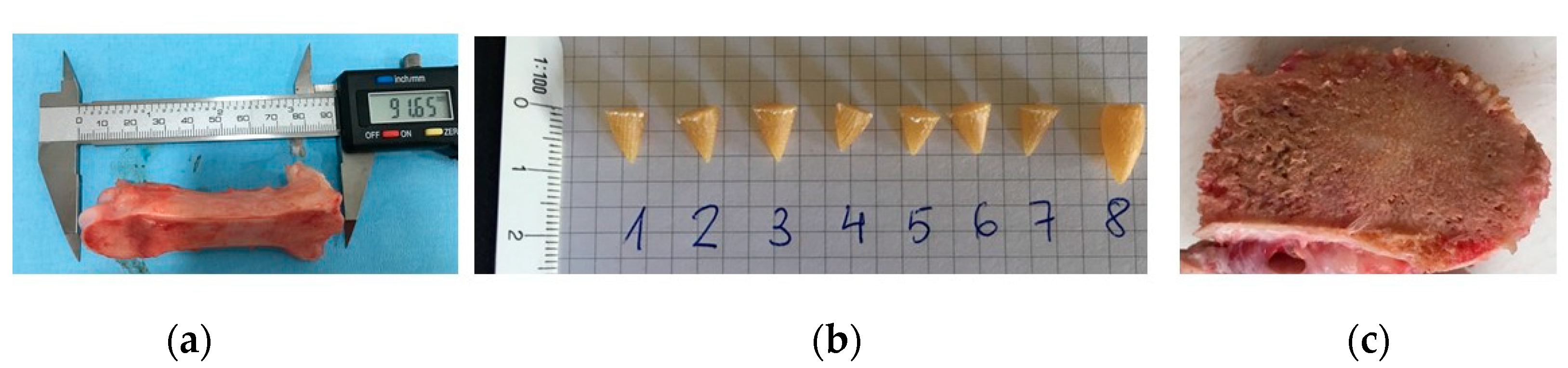 Materials 14 05951 g006 Materials 14 05951 g006
