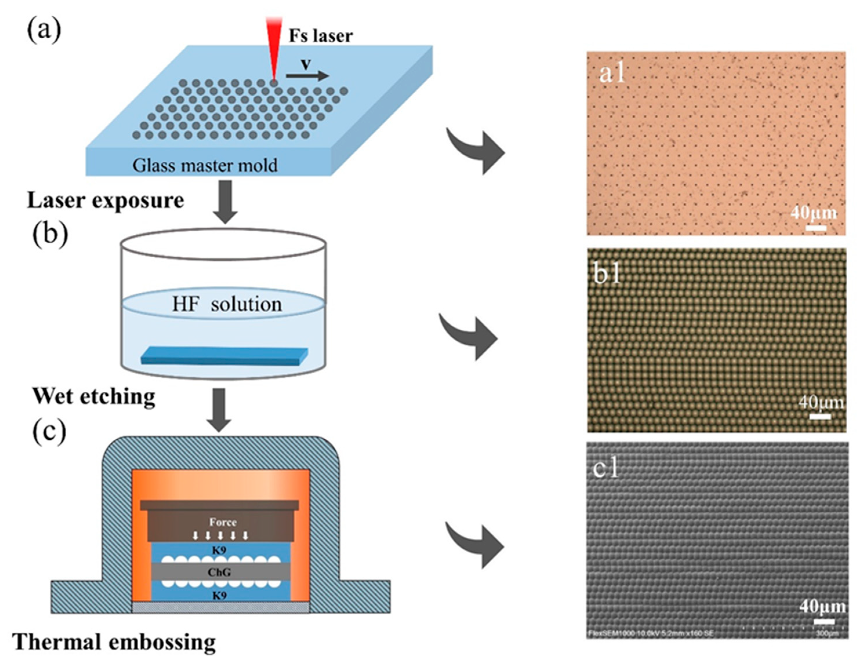 Materials 14 05952 g001
