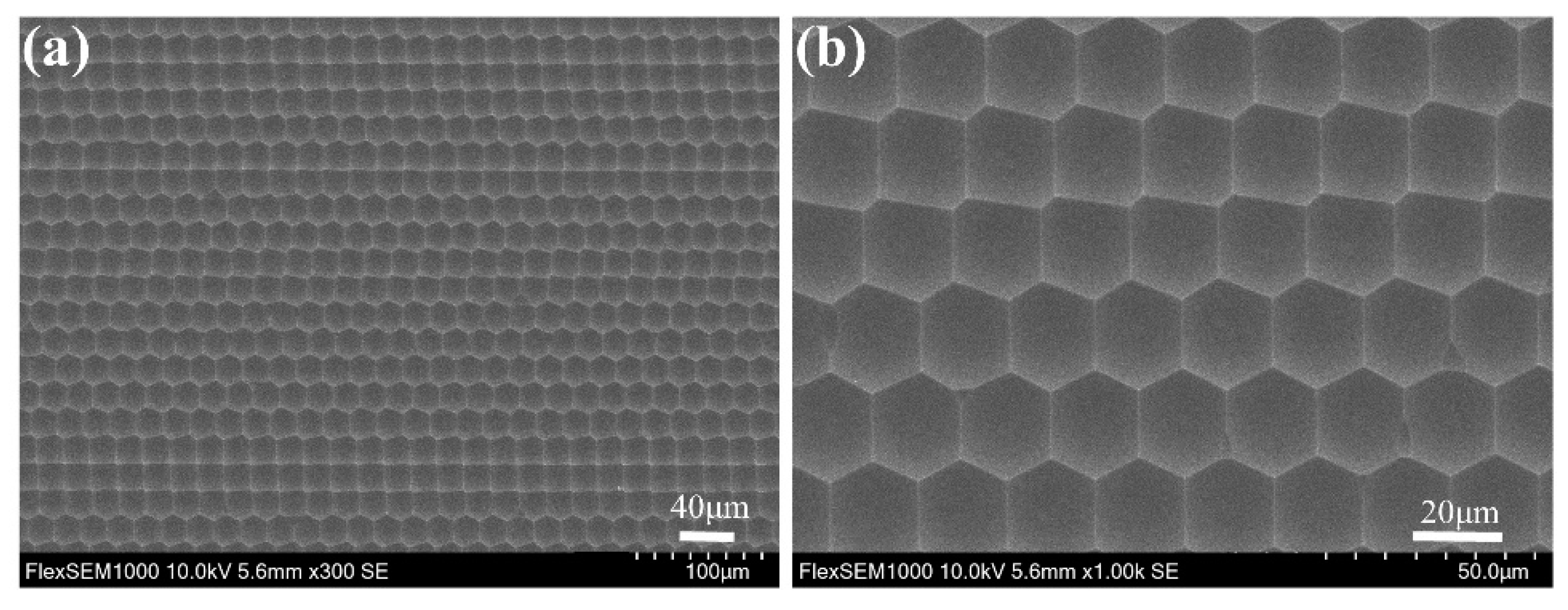 Materials 14 05952 g003