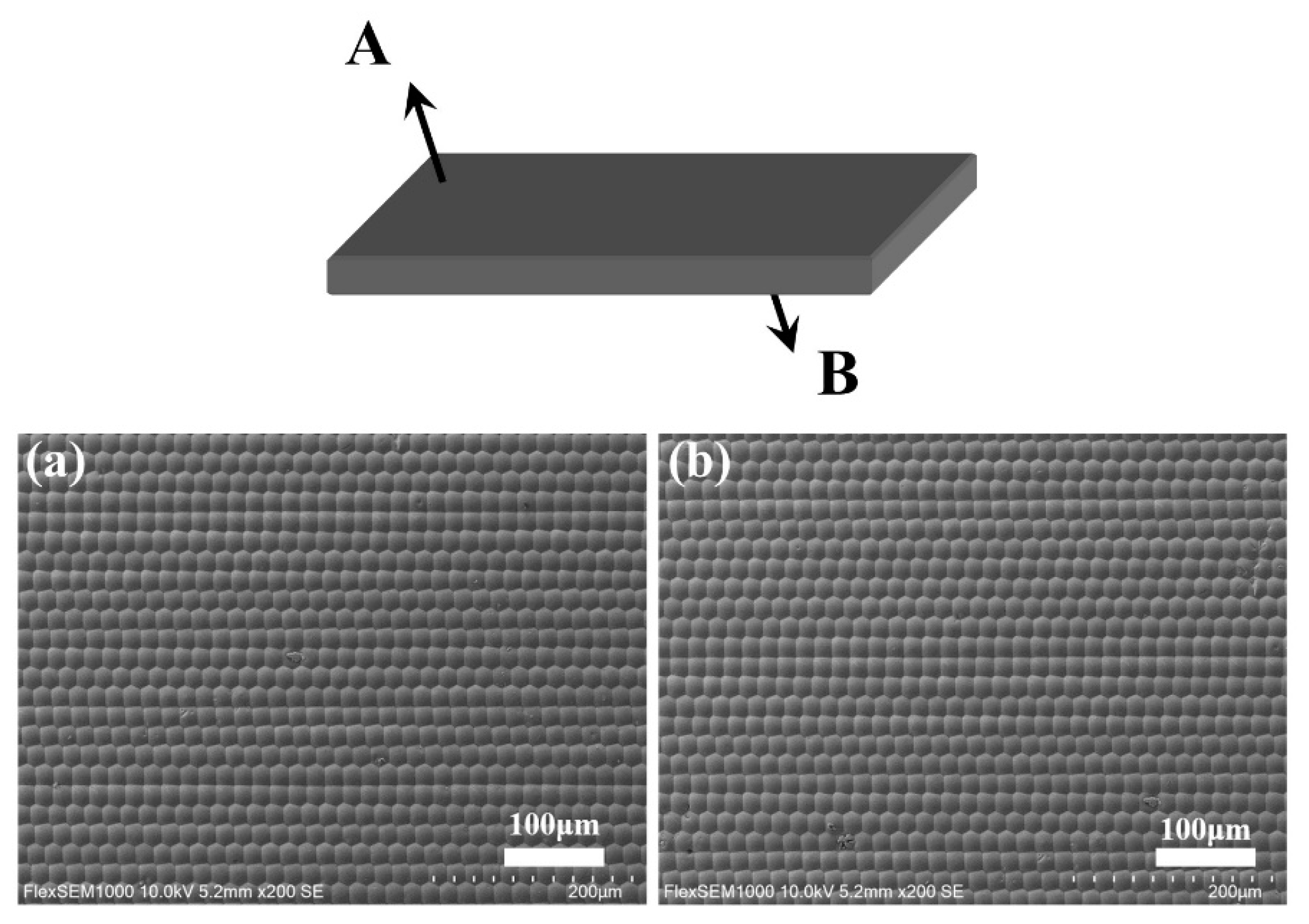Materials 14 05952 g004