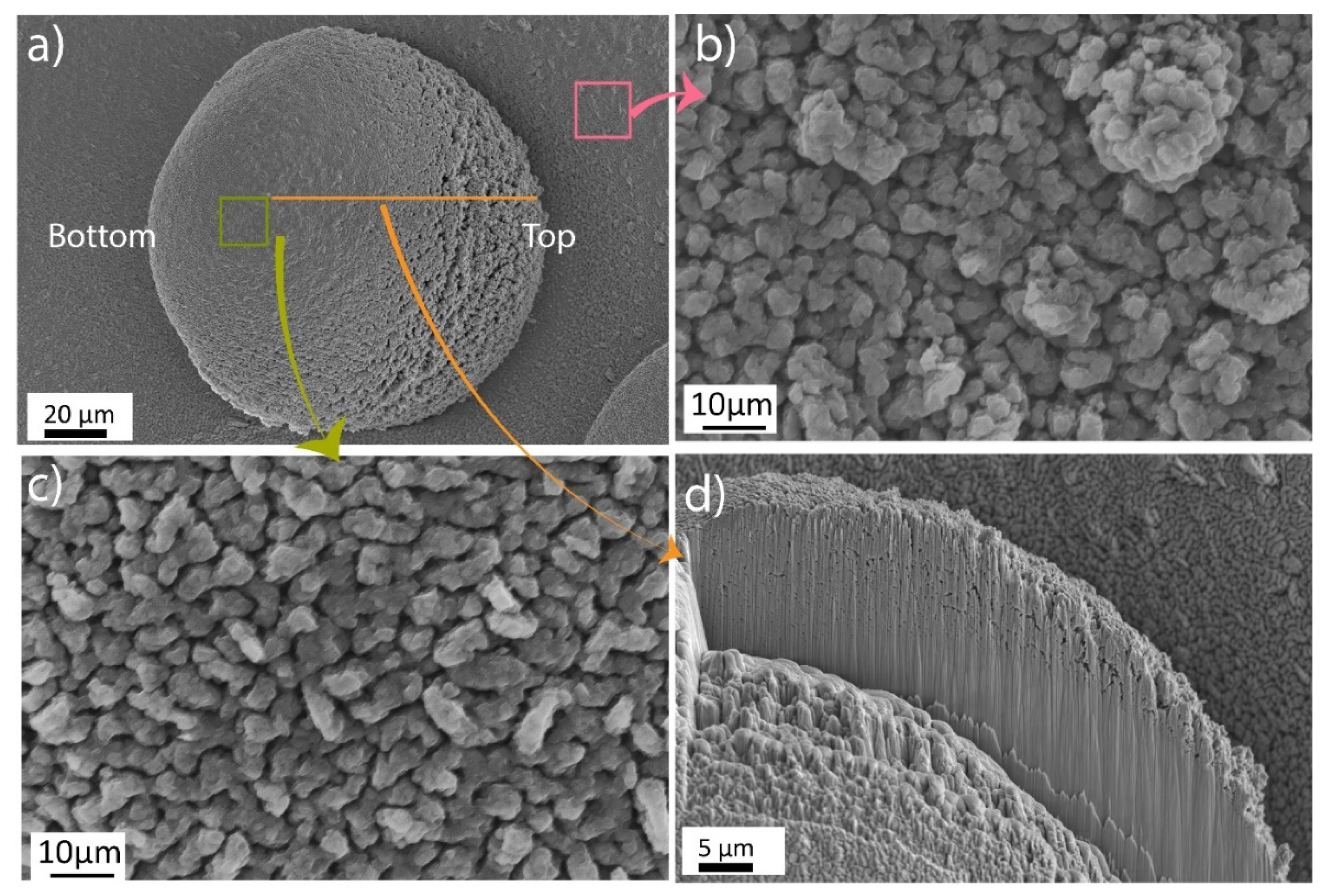 Materials 14 05953 g003