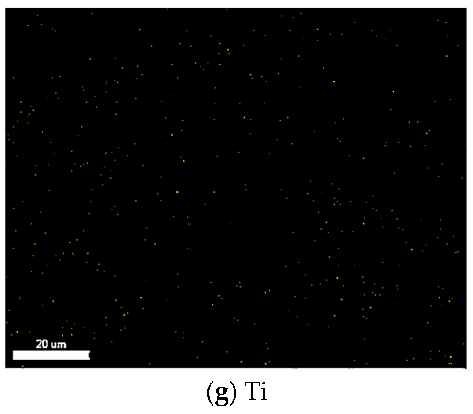 Materials 14 05970 g003b 550