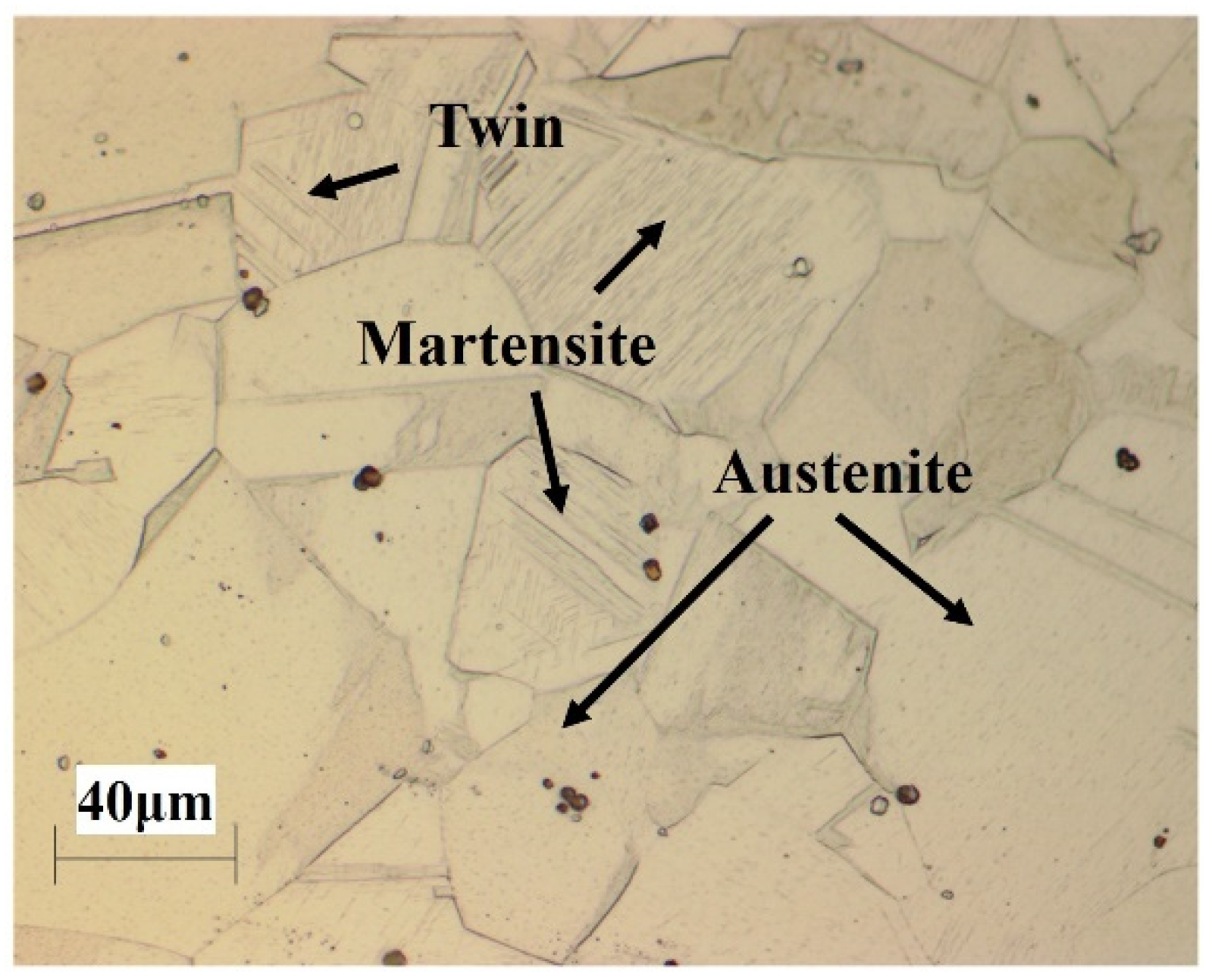 Materials 14 05975 g001 Materials 14 05975 g001