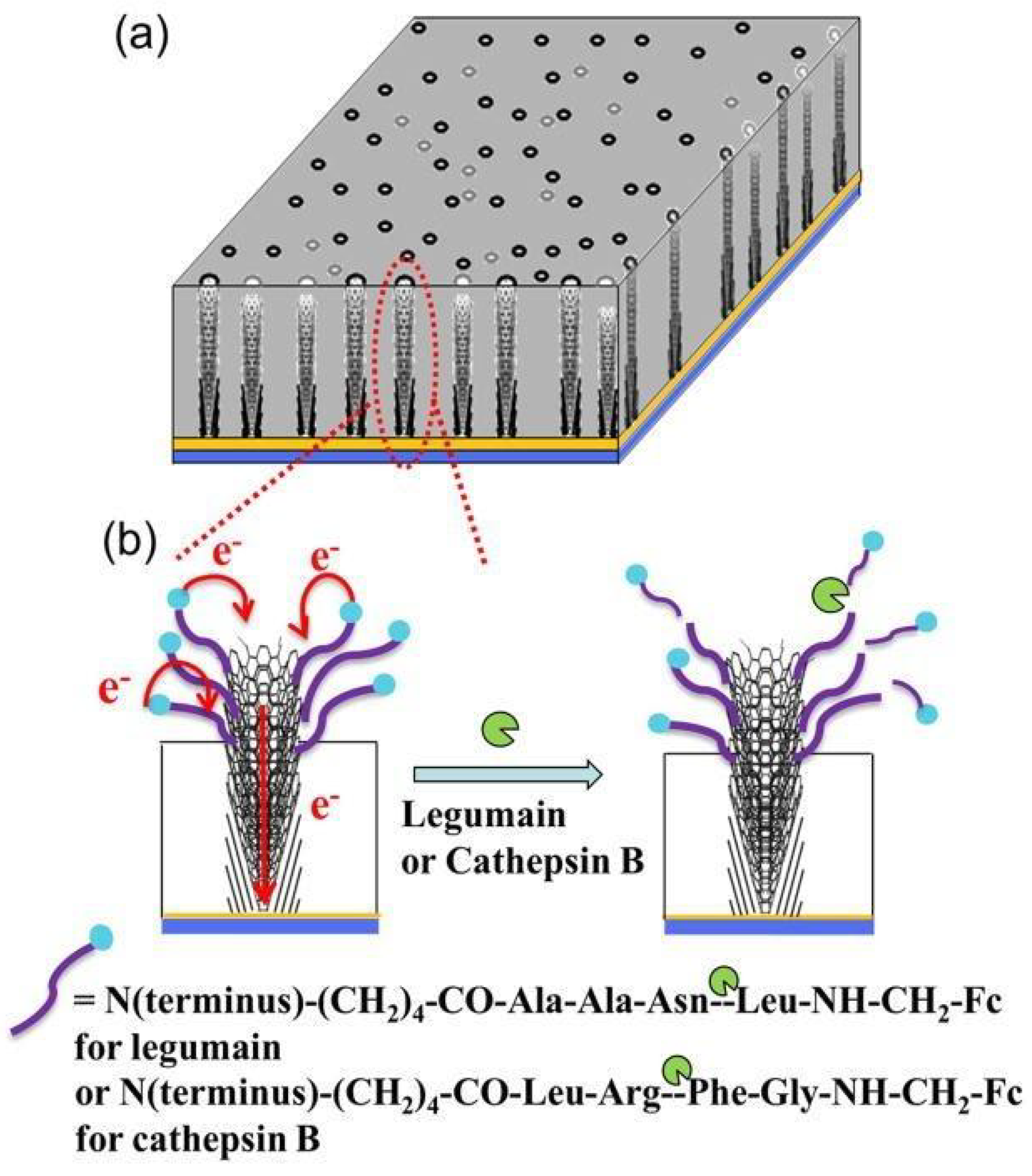 Materials 14 05978 g006