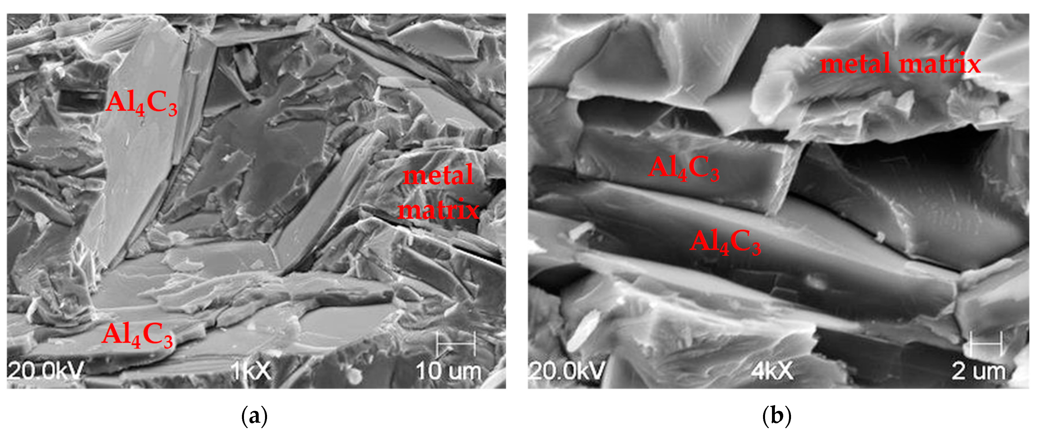 Materials 14 05993 g006 550