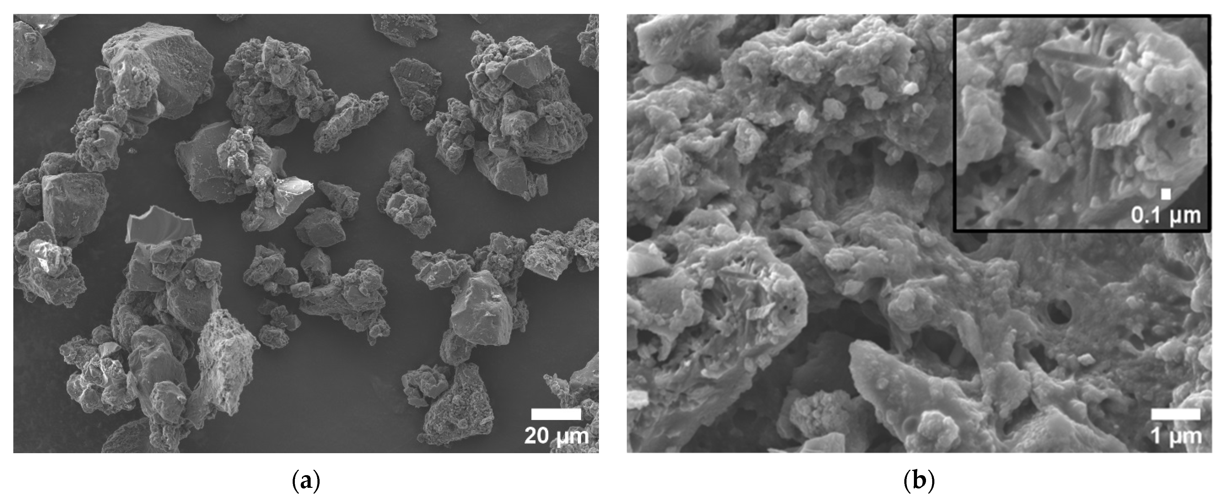 Biomass Porous Carbons Derived from Banana Peel Waste as