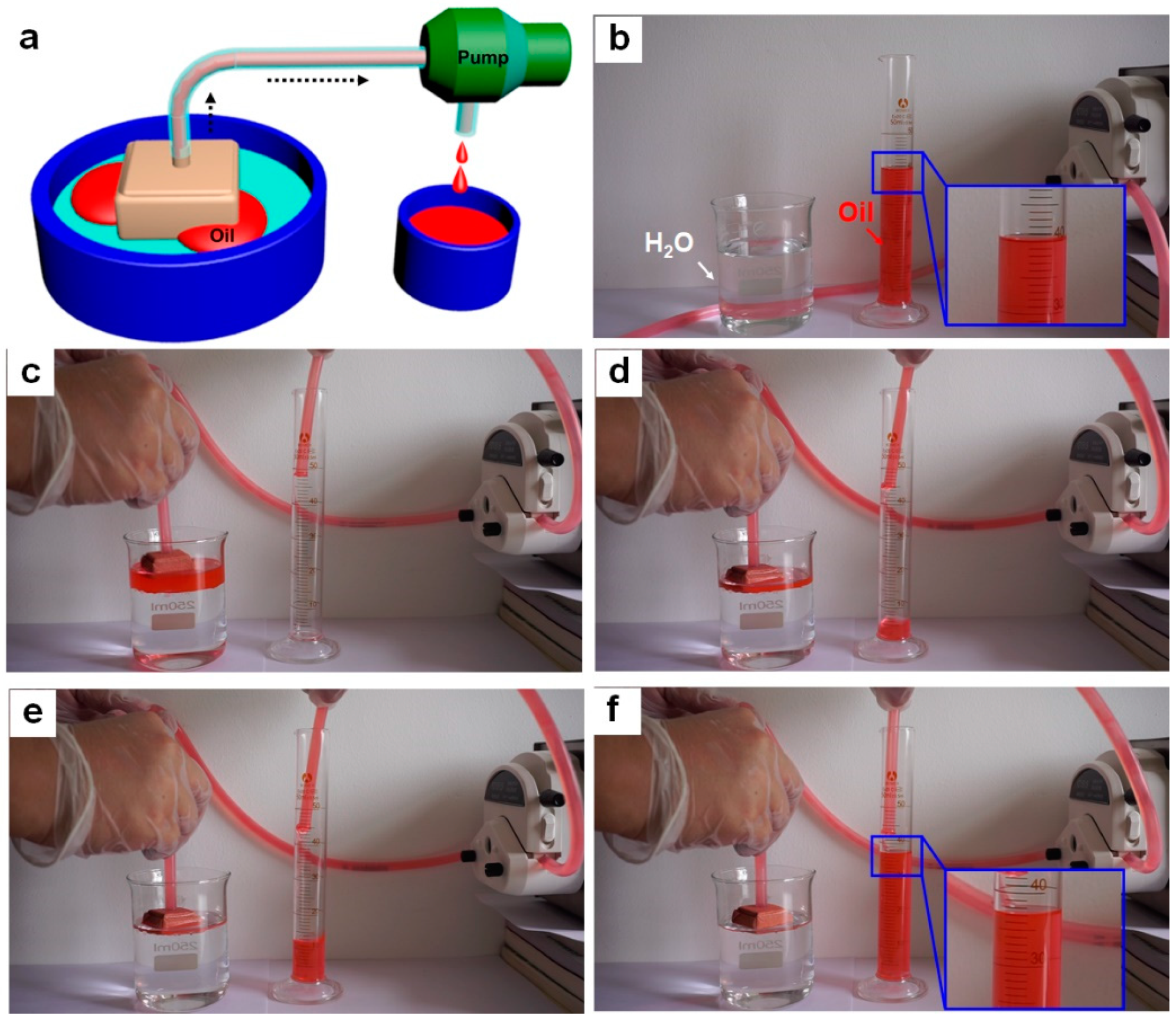 Materials 14 05998 g004 550