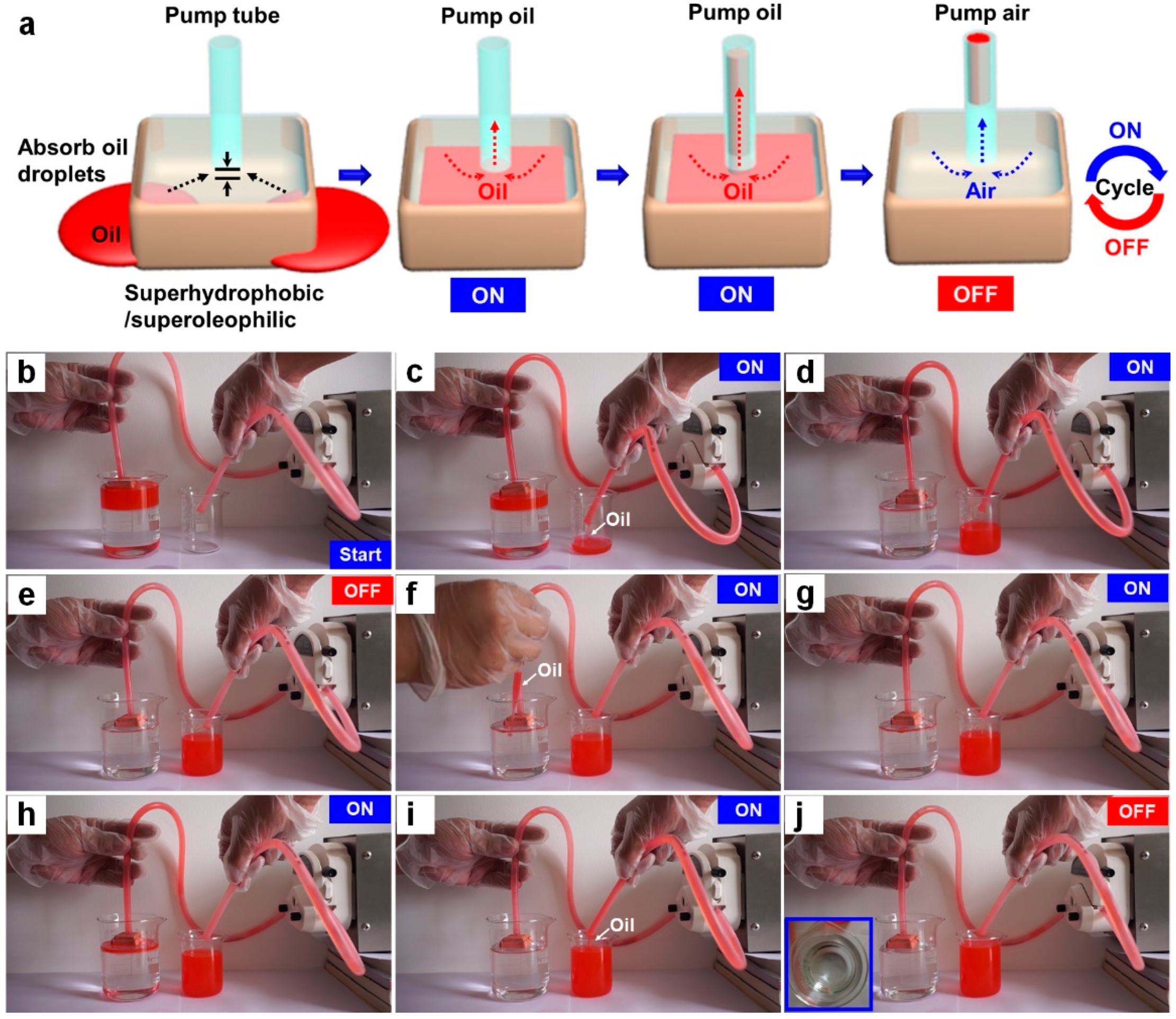 Materials 14 05998 g005 550