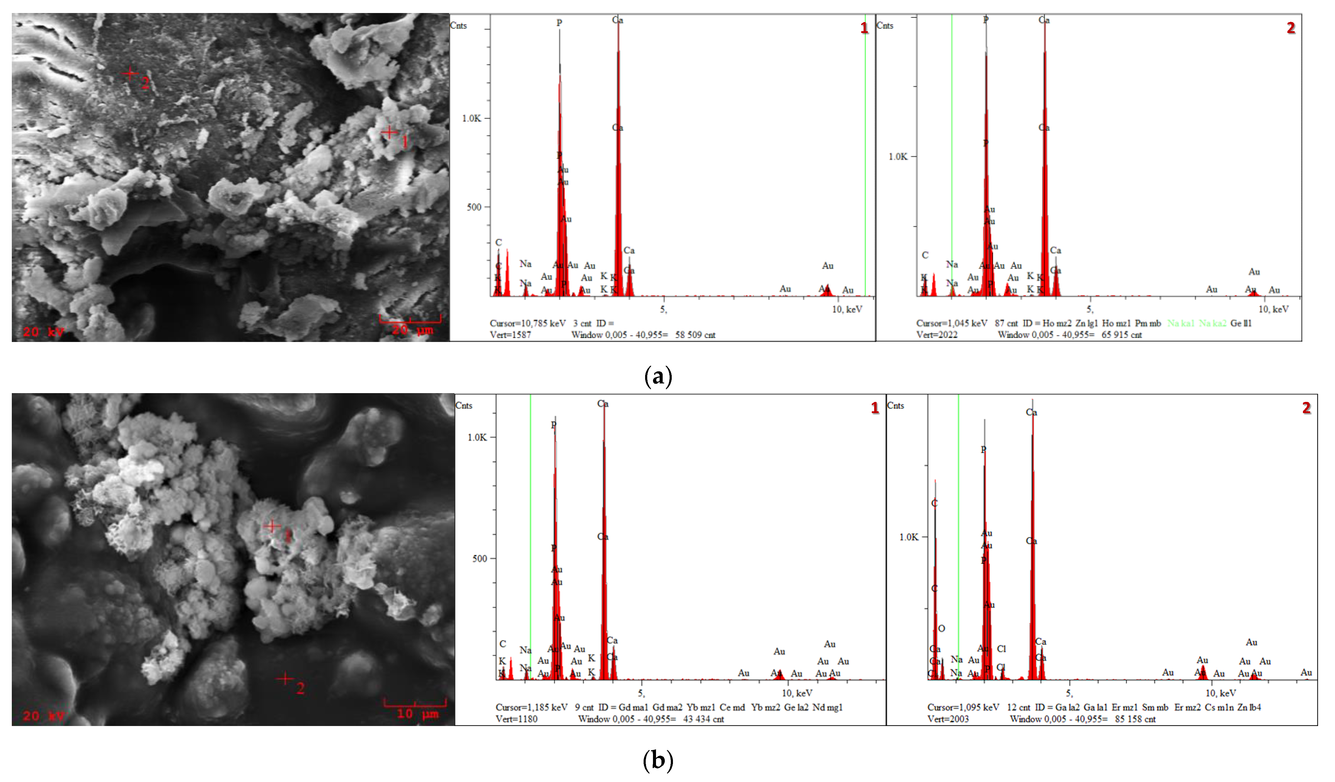 Materials 14 06000 g007 550