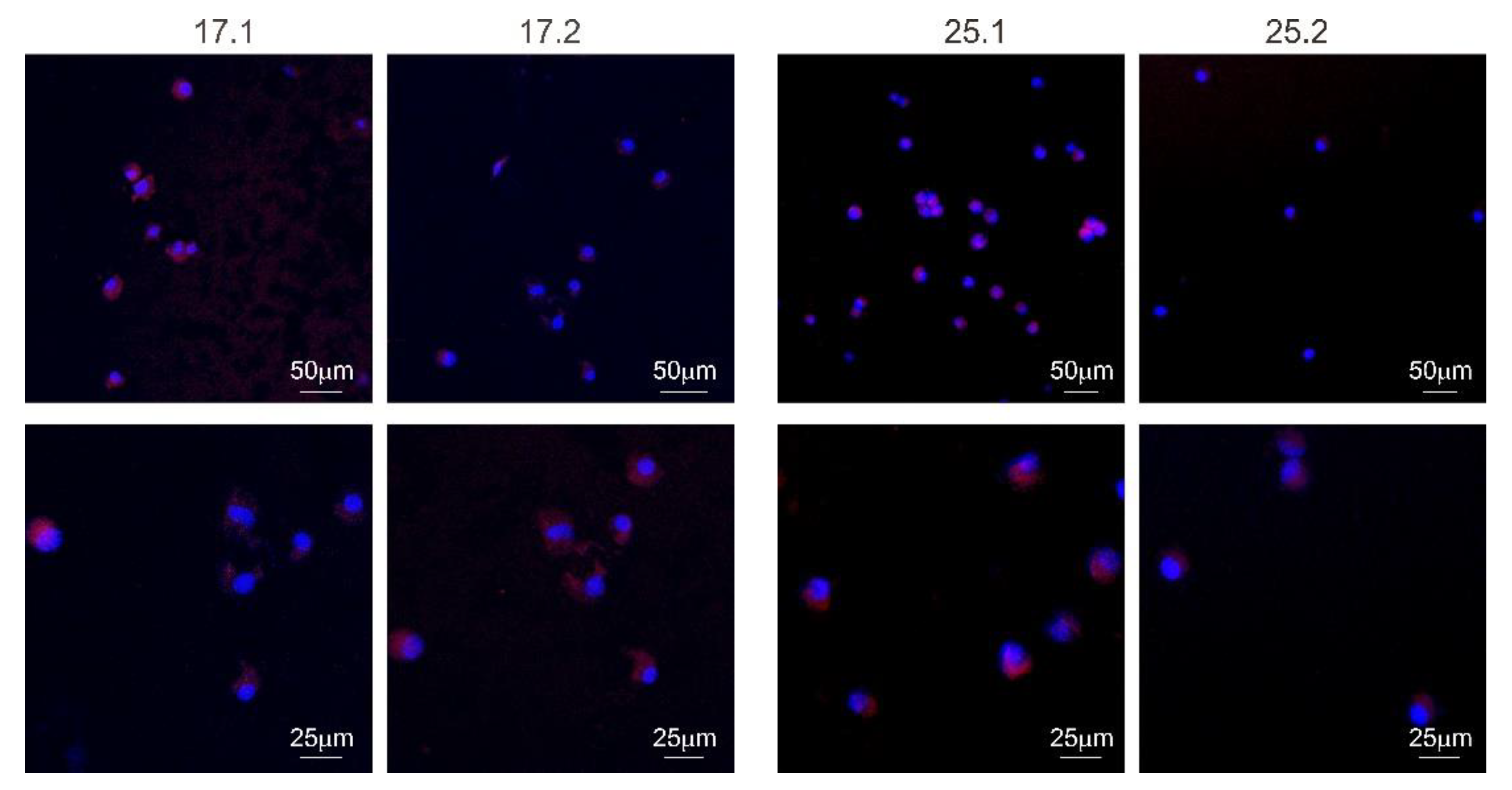 Materials 14 06000 g010 550