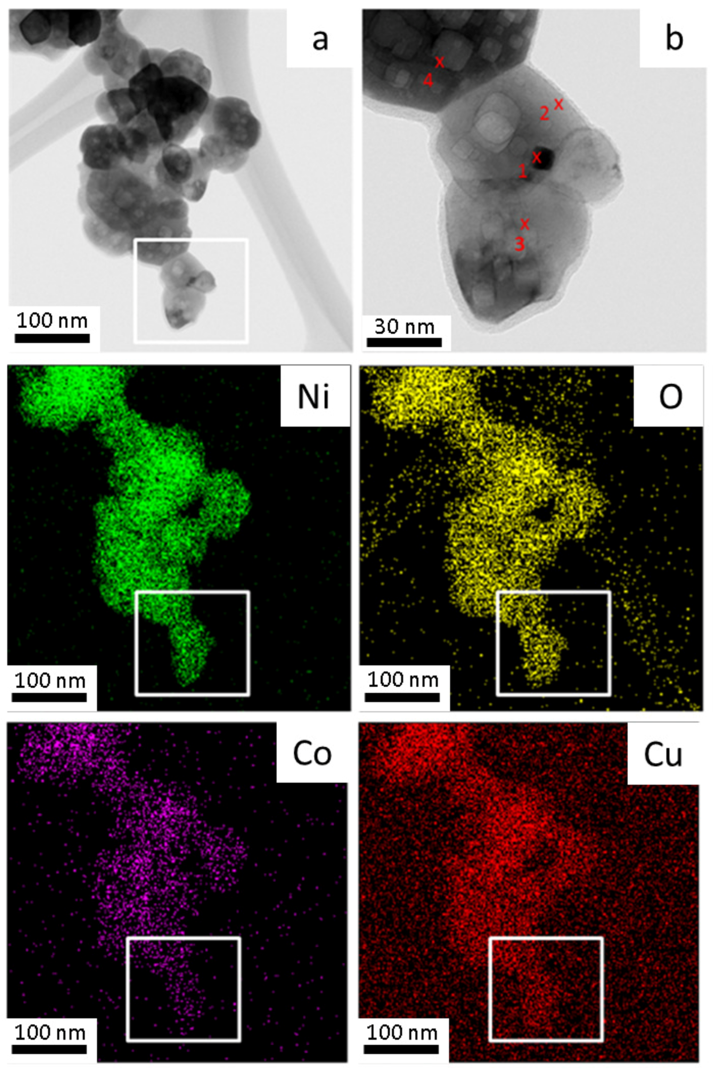 Materials 14 06006 g005