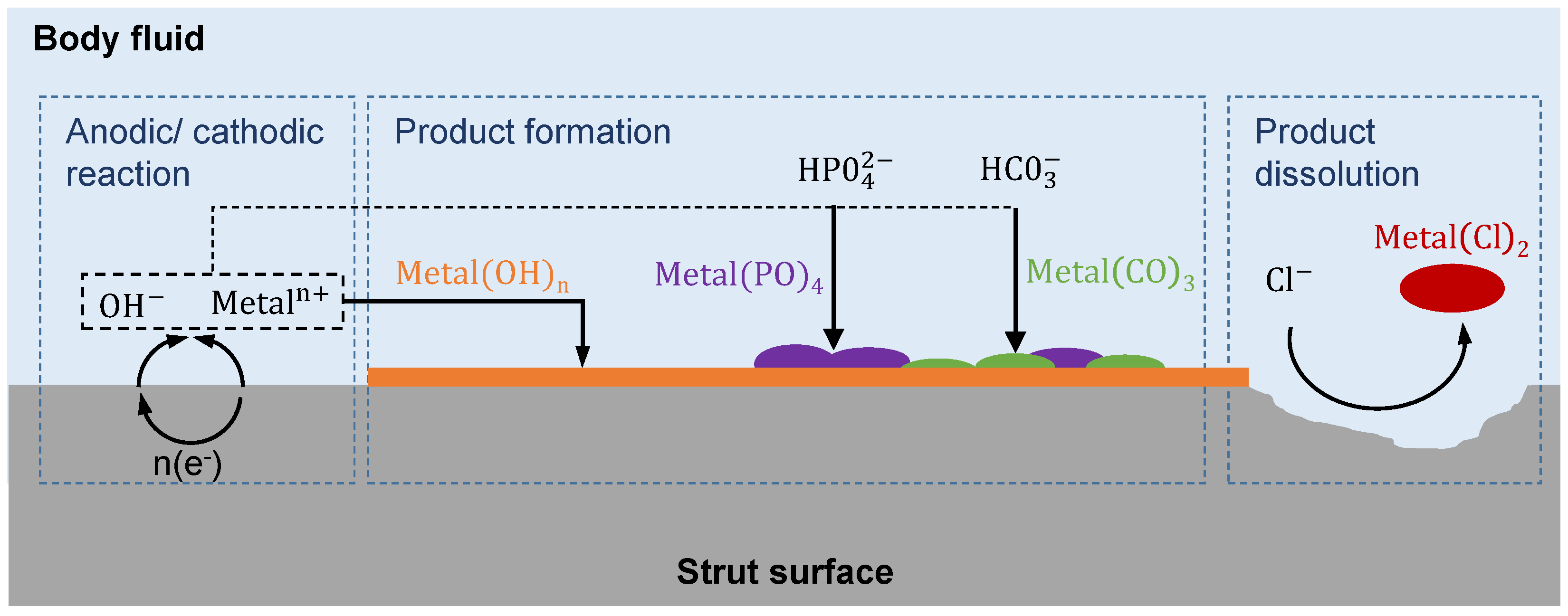Materials 14 06027 g001