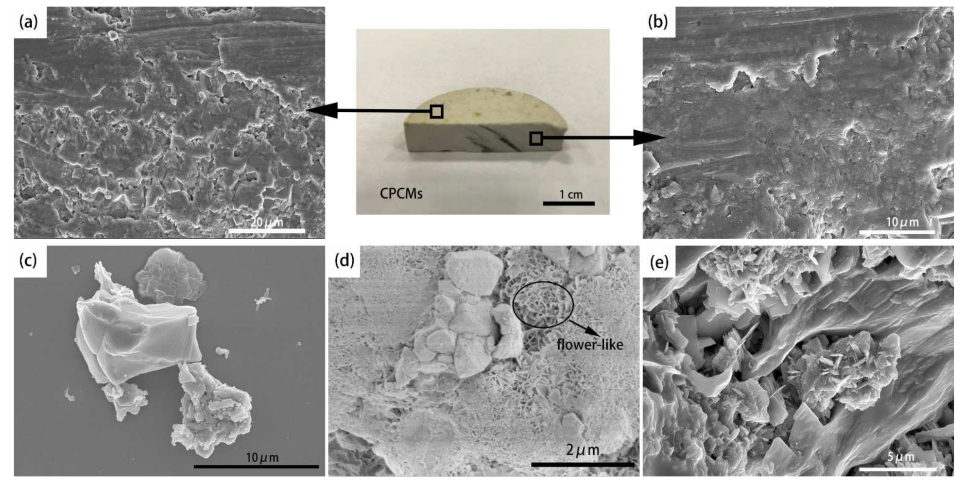 Materials 14 06032 g004 550