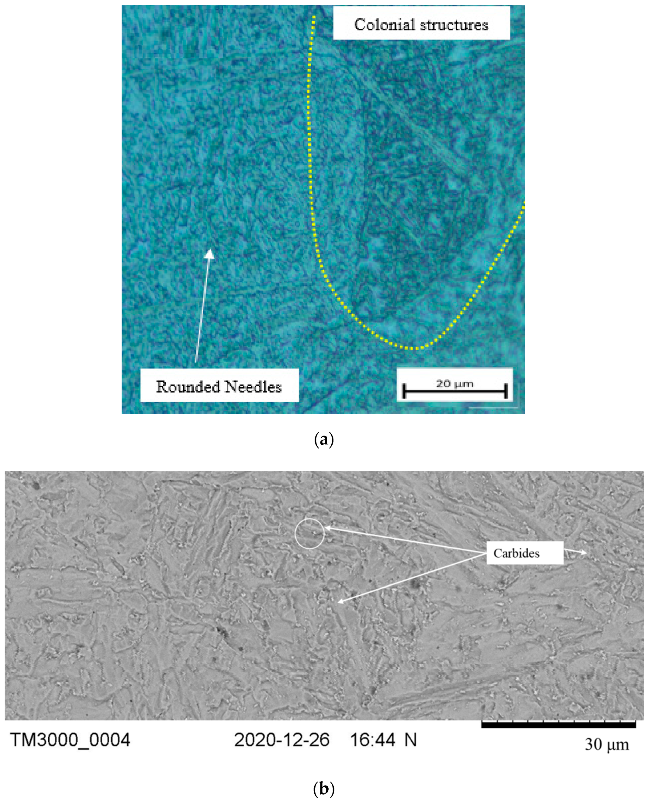Materials 14 06033 g008a Materials 14 06033 g008a