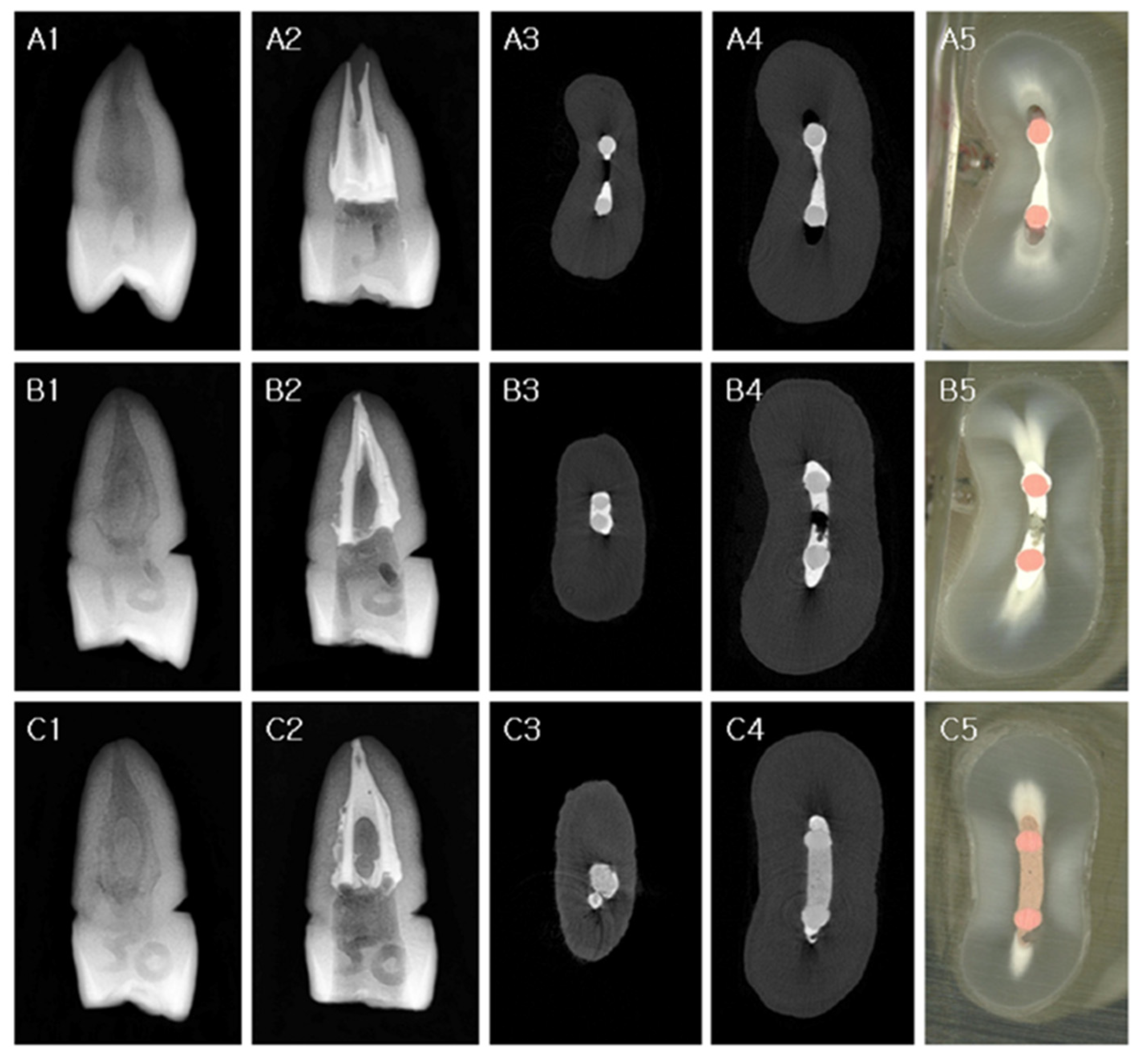 Materials 14 06036 g002