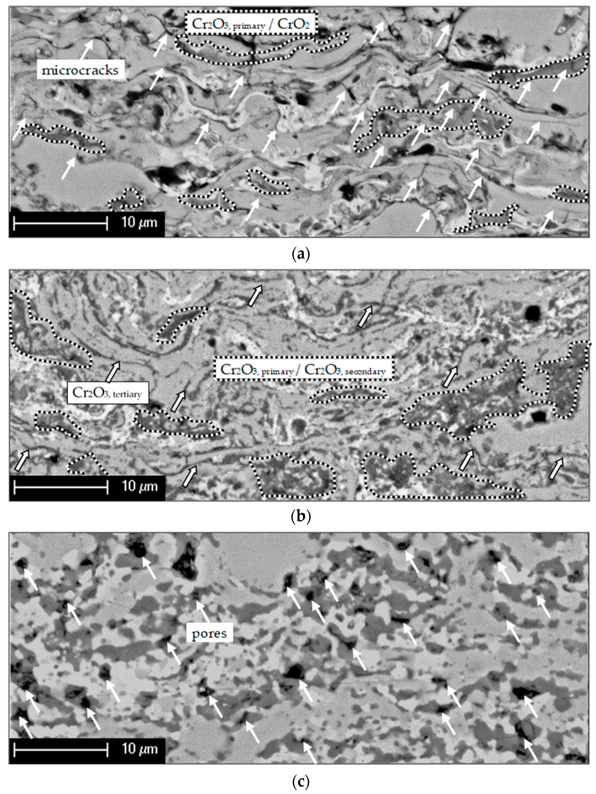 Materials 14 06040 g002 550