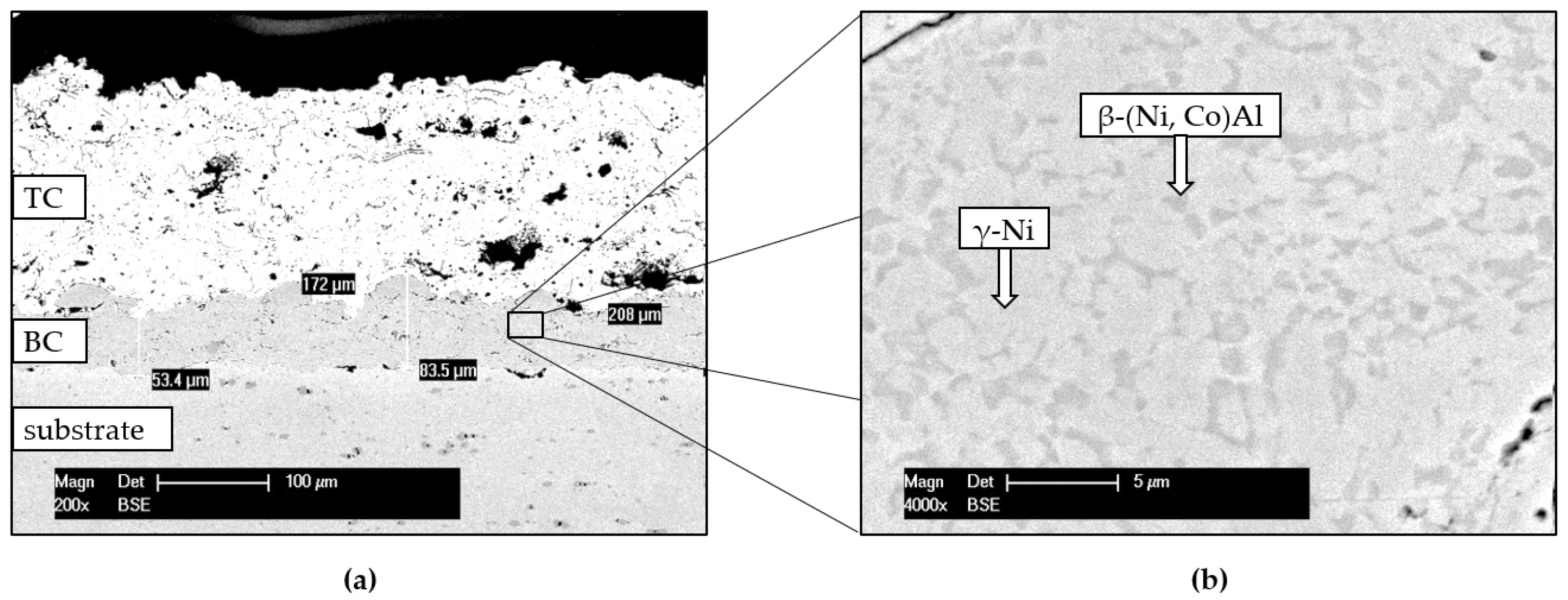 Materials 14 06040 g007 550