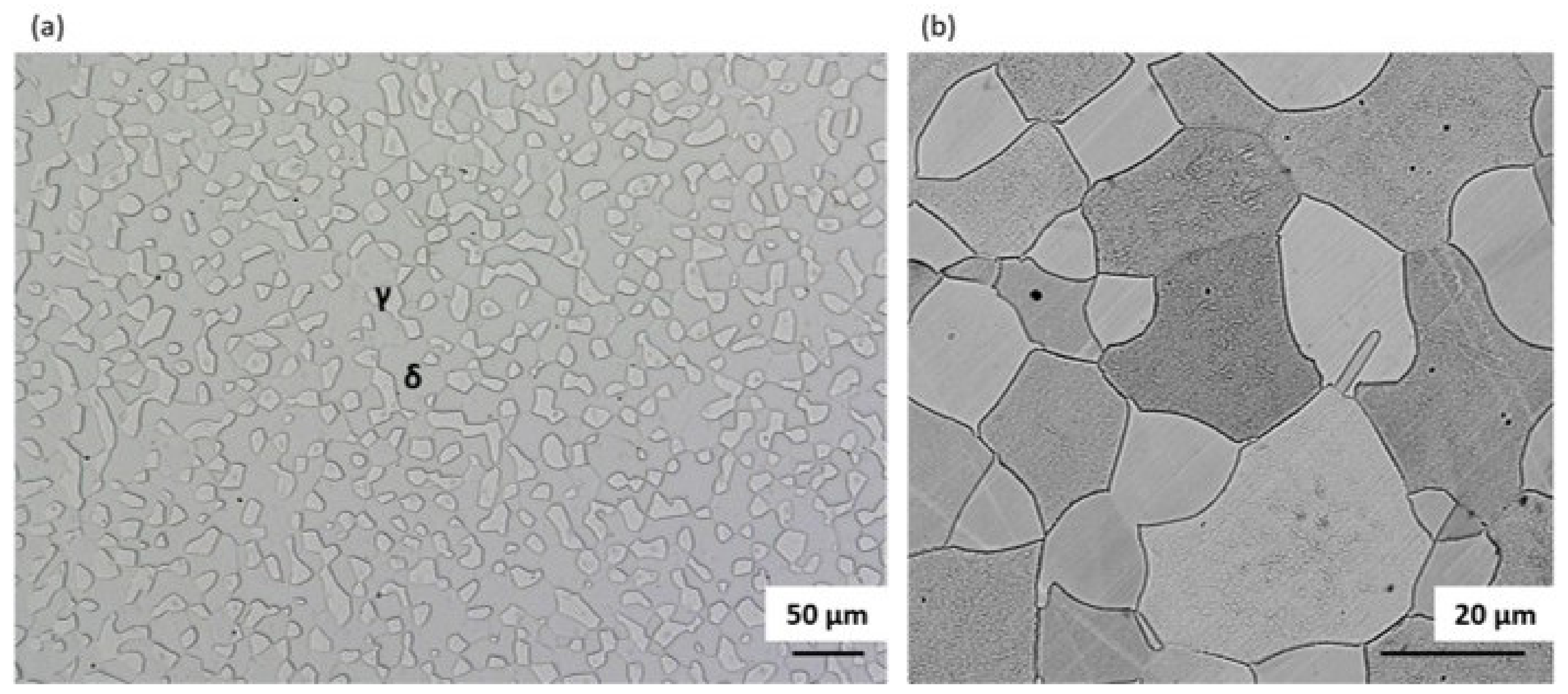 Materials 14 06043 g006