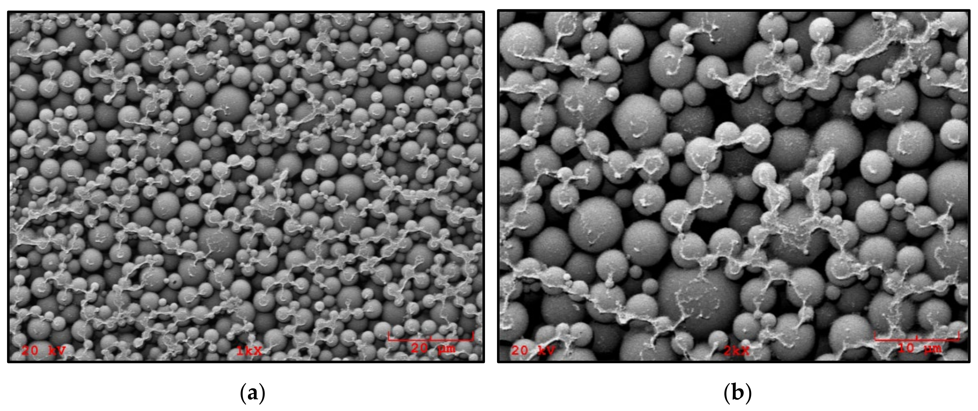 Materials 14 06044 g004 550