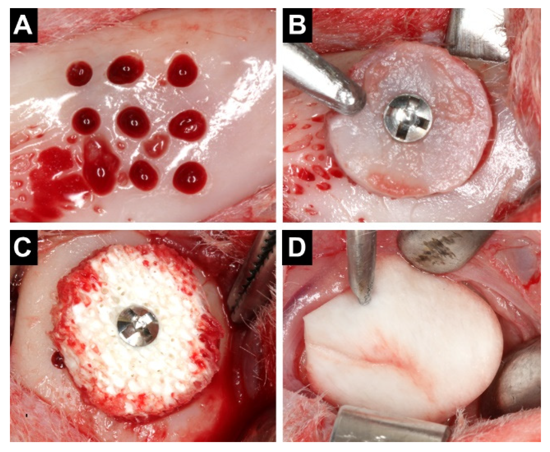 Materials 14 06049 g001