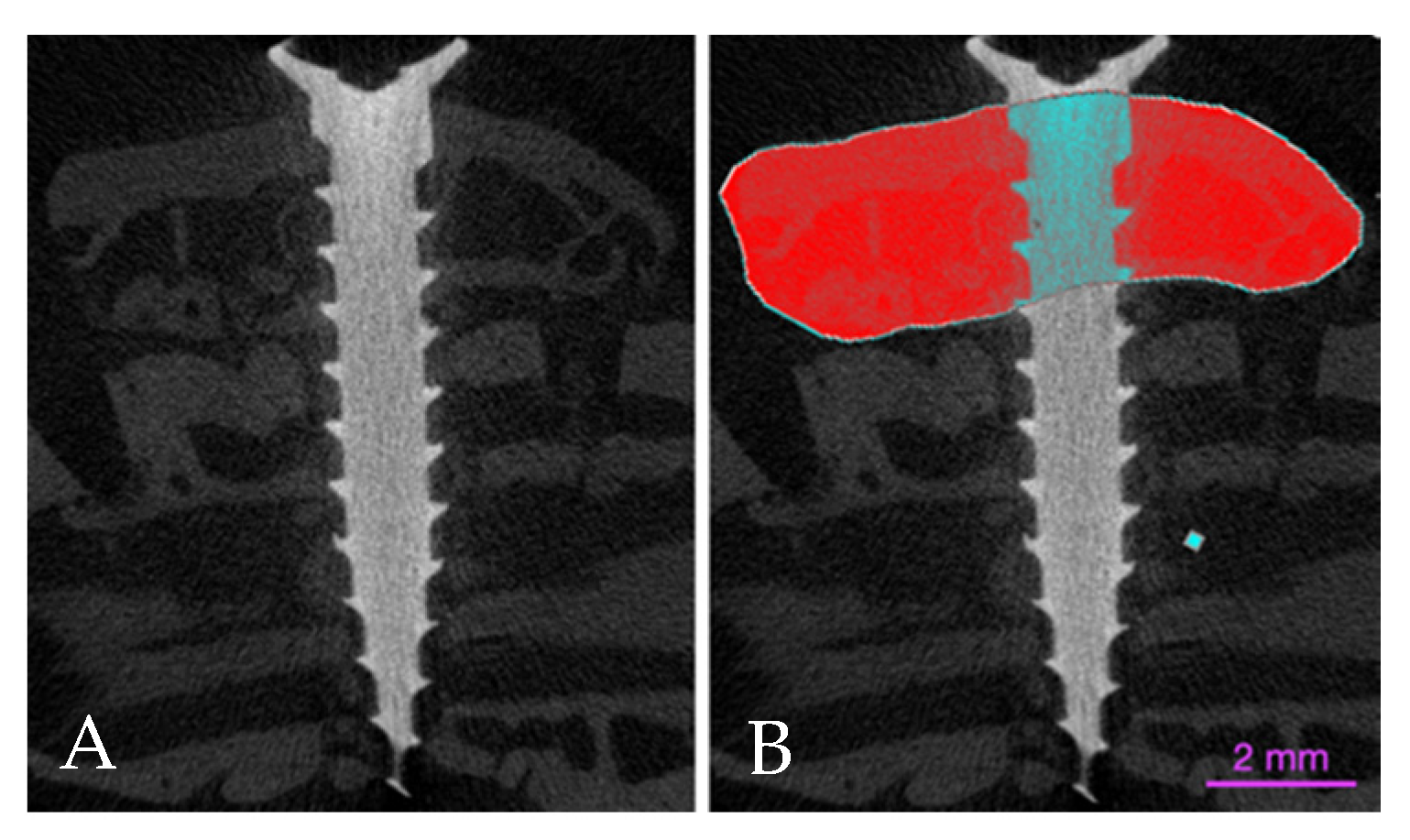 Materials 14 06049 g002