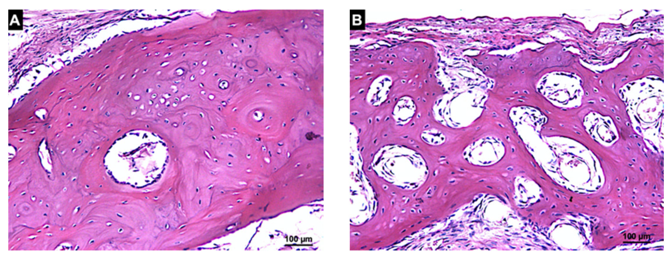 Materials 14 06049 g011