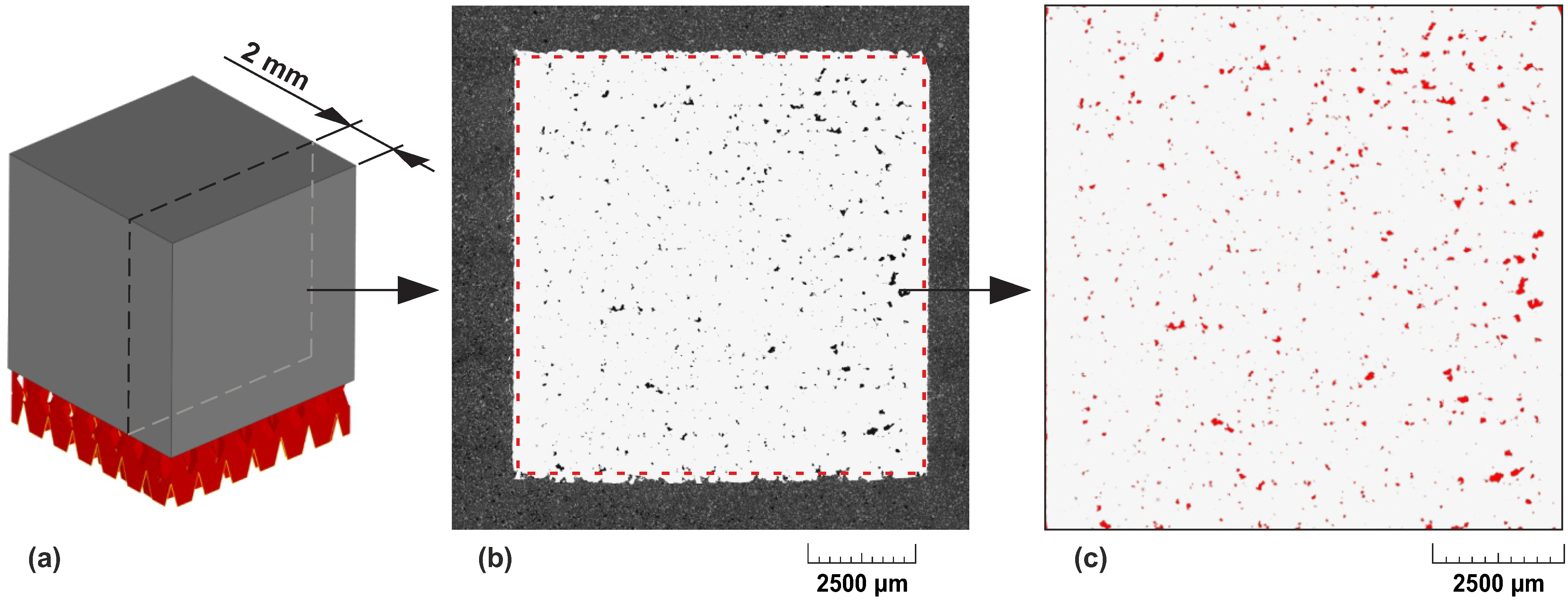 Materials 14 06052 g007 550
