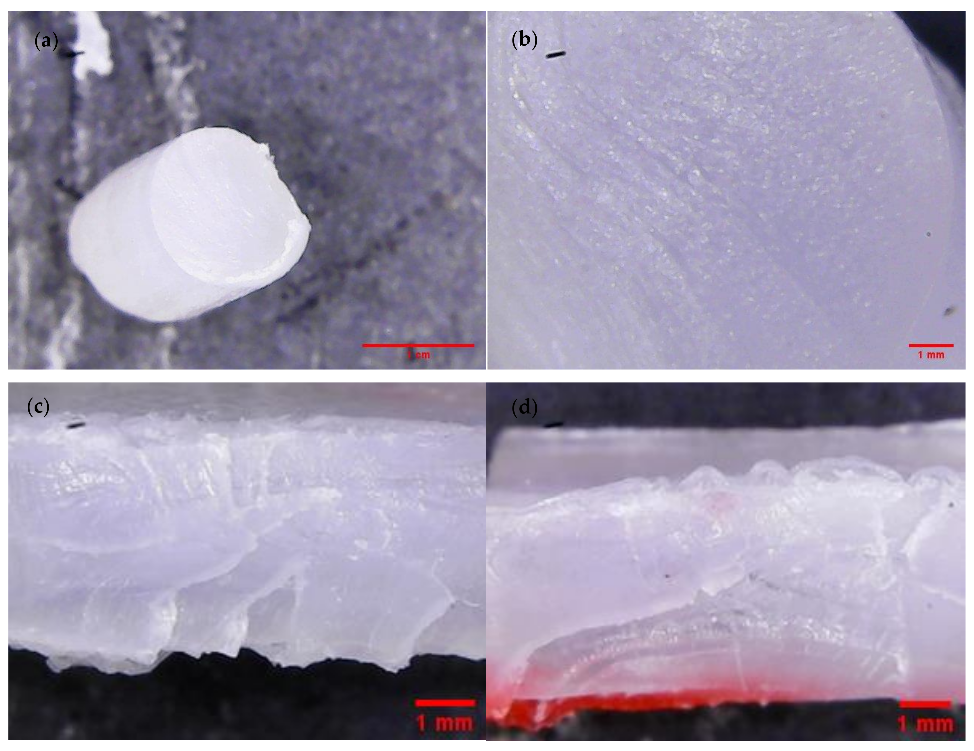 Materials 14 06054 g004 550